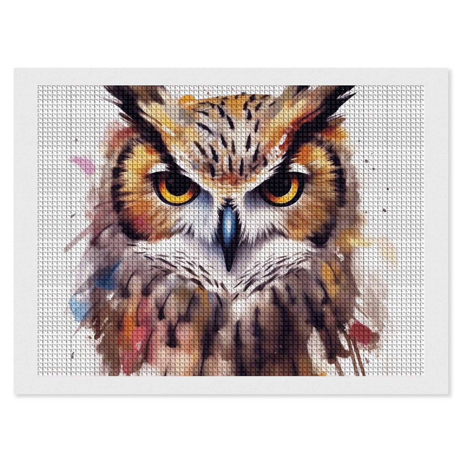 Diamond Painting Kits for Adults - DIY Diamond Art Kits for Beginners - Full 5D Paint Drill Diamond Dots Paintings- Watercolor Cool Owl Head Diamonds Pictures Gem Art And Craft Wall Decor 12"x16"