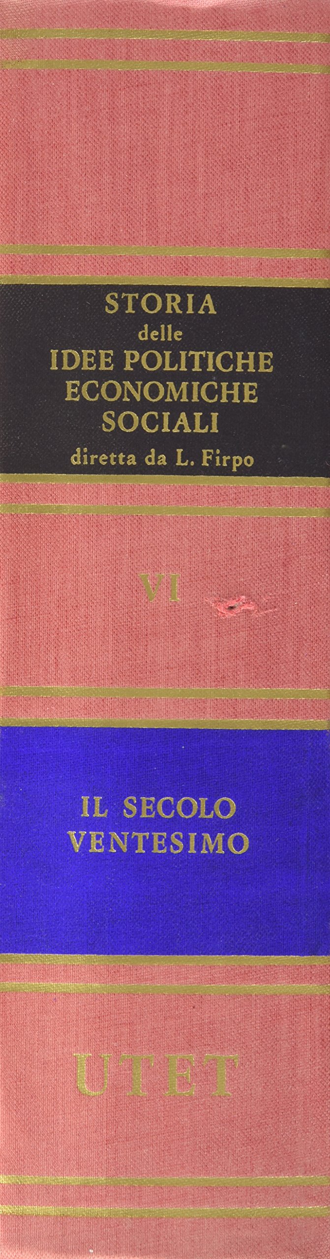 Storia delle idee politiche, economiche e sociali. Il secolo Ventesimo (Vol. 6)