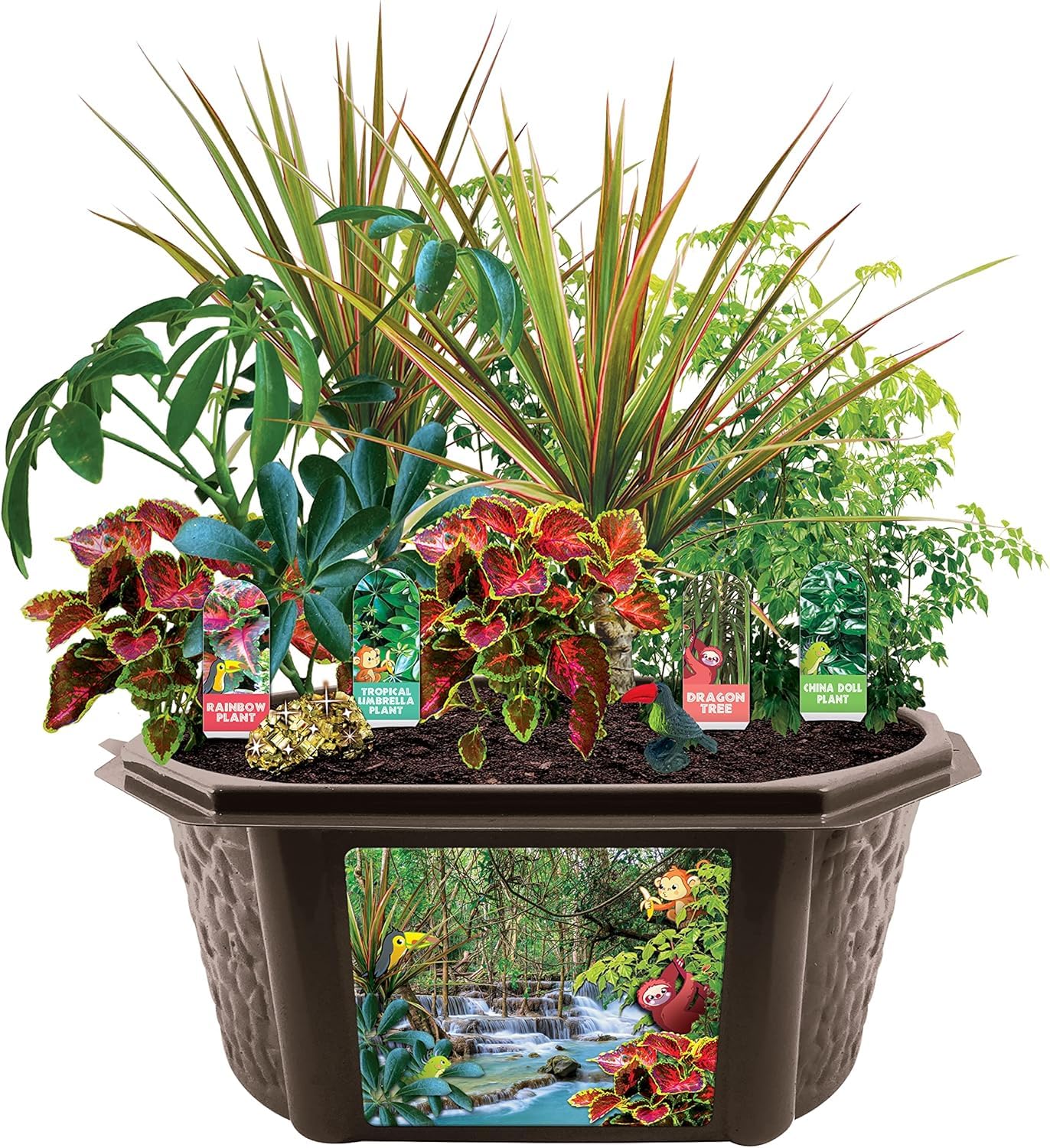 Toys by Biosphere Terrarium-Starter-Set mit komplettem Zubehör, um Ihren eigenen Dschungel zu erschaffen! Zimmerpflanzen für Heimausstellungen und Gärten (Tropischer Regenwald-Dschungel)