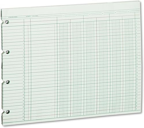 Wilson Jones Hojas de contabilidad, seis columnas, 9-14 x 11-78, verde (paquete de 100 hojas sueltas) (WLJG106)