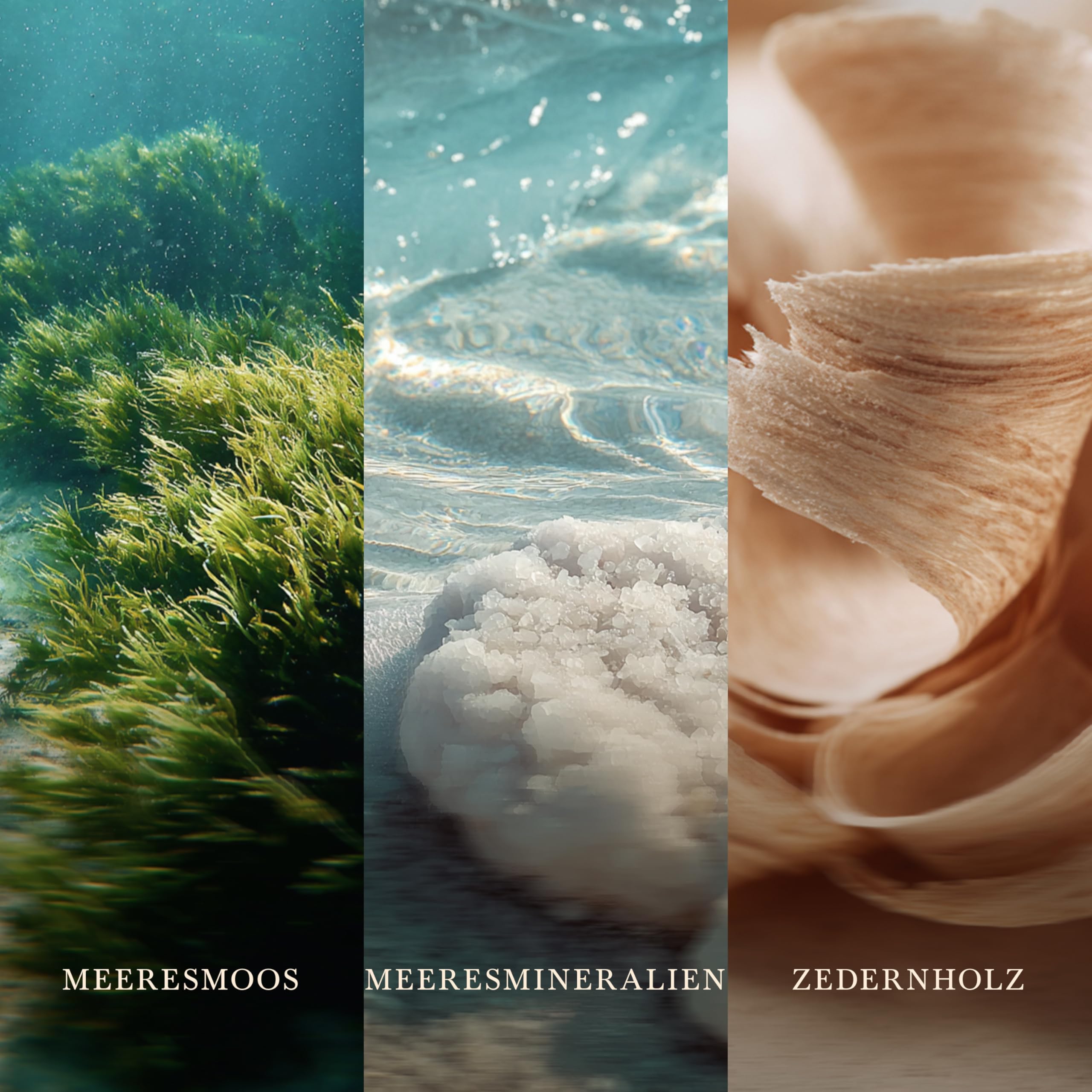 WoodWick Duftkerze | Große Hourglass-Kerze | Cedarwood & Ocean Moss | Perfekte Geschenke für Frauen