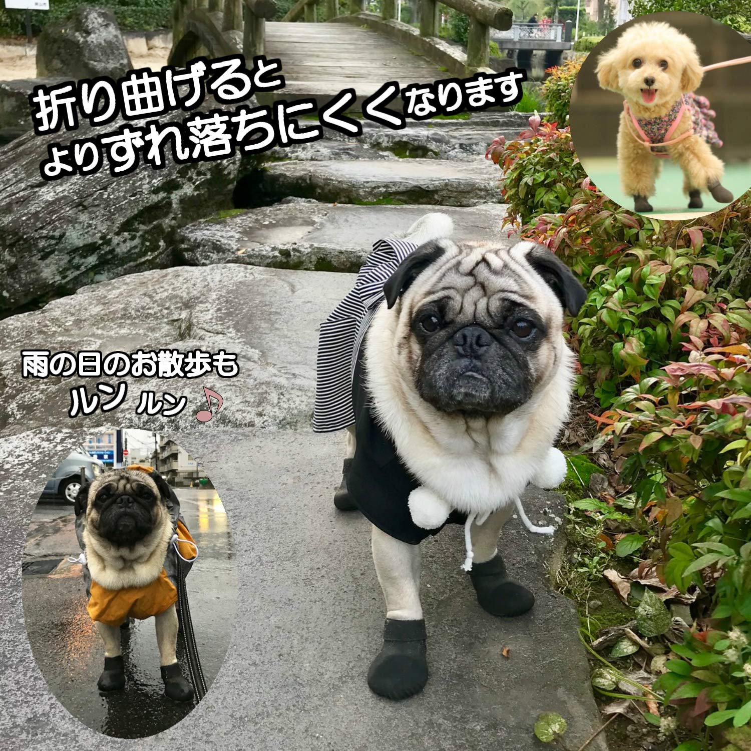 アニマルオルソジャパン おさんぽソックス Sサイズ(黒 ブラック) 3セット Amazon.co.jp: アニマルオルソジャパン おさんぽソックス ブラック 犬