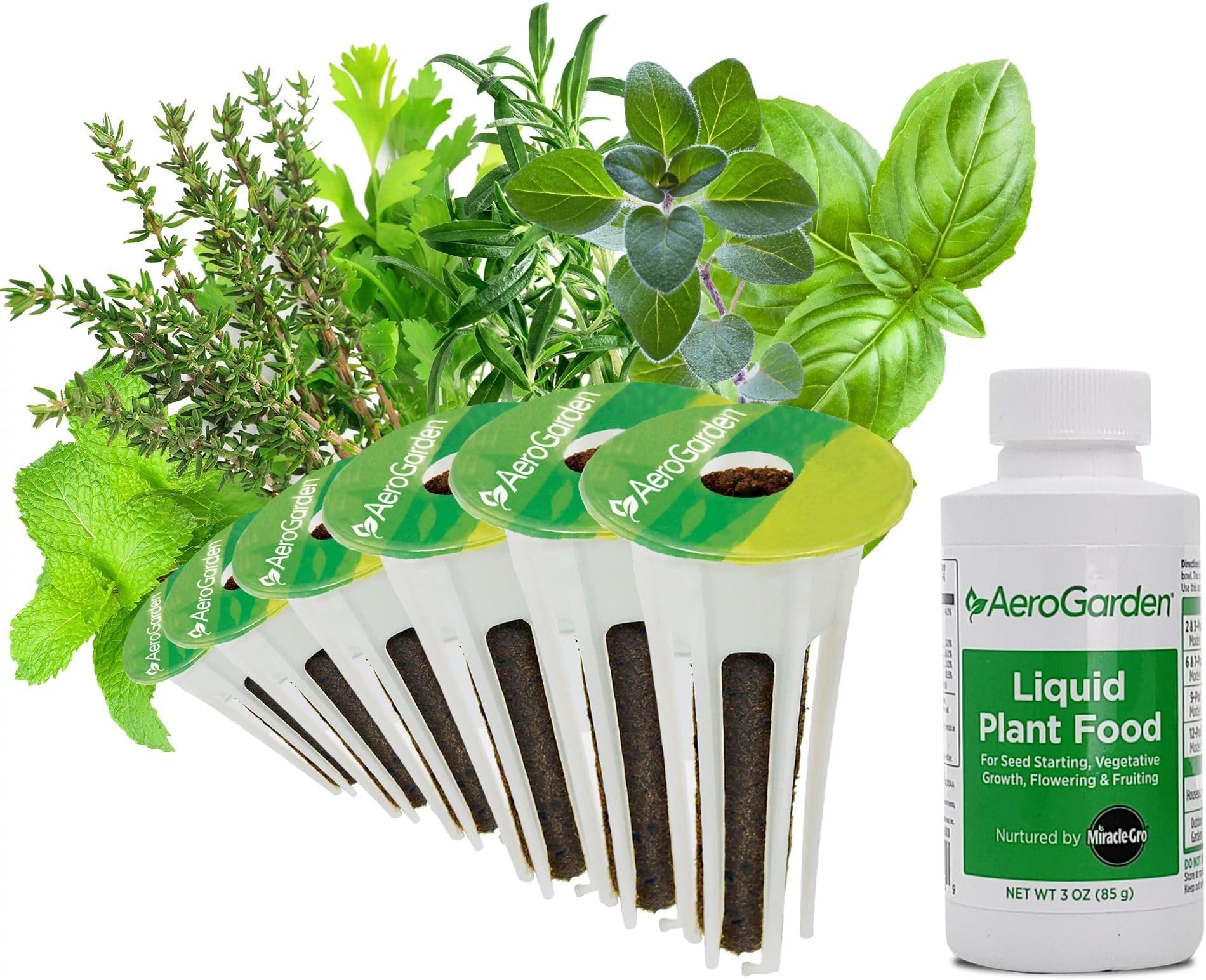 Assorted Italian Herb Seed pod Kit, 6-Pod