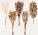 Décor d'herbe de la pampa artificielle, 100 PCS d'herbe de la pampa contenant des queues de lapin, bouquet d'herbe de roseau pour mariage, fleurs boho, décoration de table à la maison, fête rustique de la ferme (Blanc et brun)