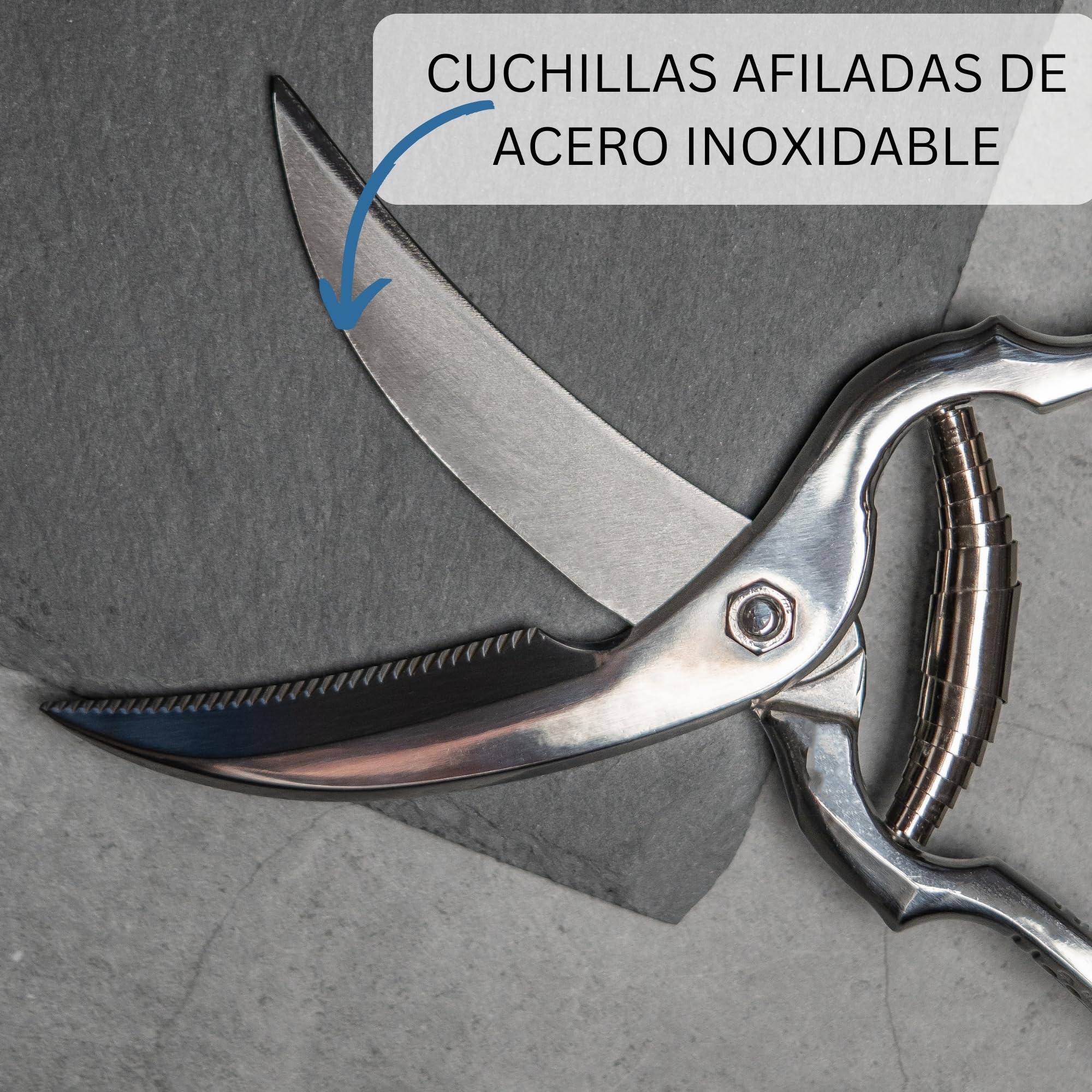 Westmark Set para aves de corral, 3 unidades, 1 Tijeras para aves de corral con mecanismo de resorte, 1 aguja + 1 cordel de cocina de 60 m, Acero inoxidable/poliéster, Classic, Plata/Blanco, 137122E6