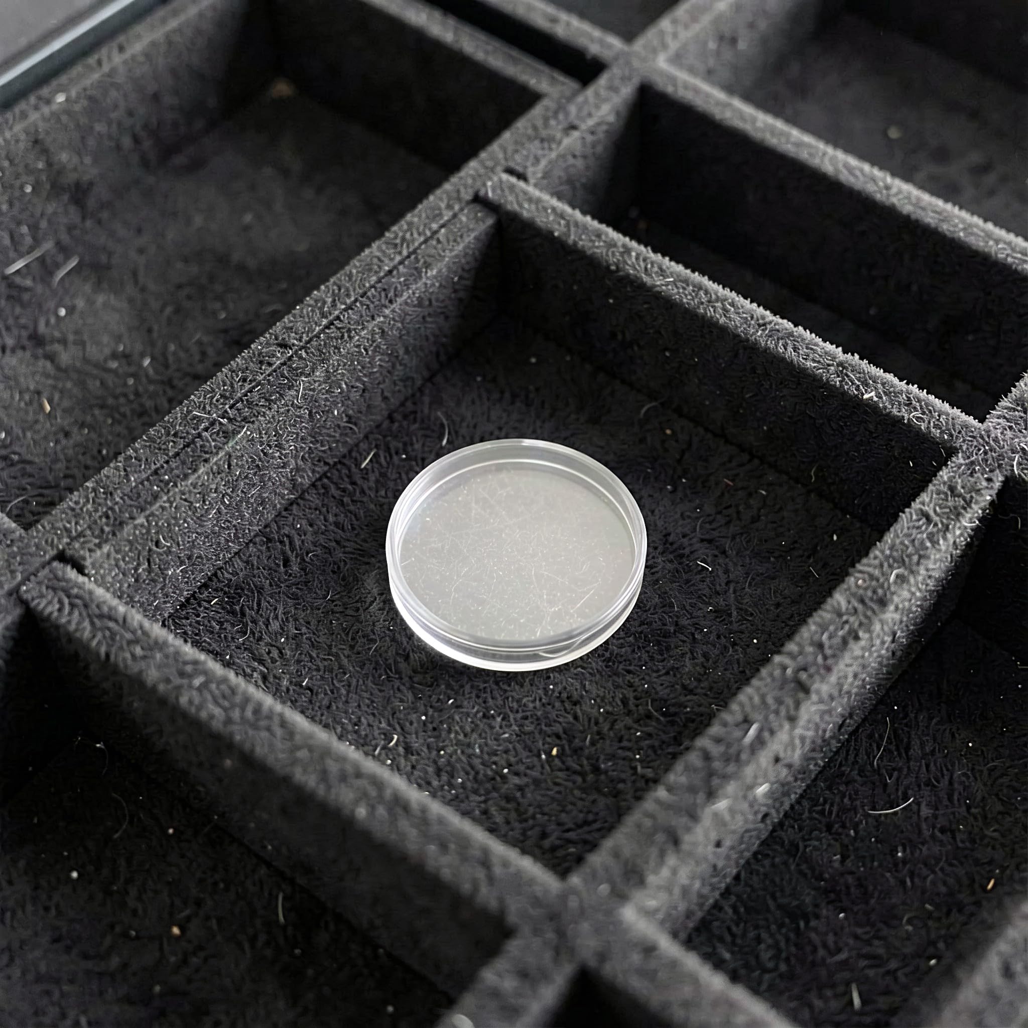 Gatuida 2 Juegos de cápsulas Transparentes para Monedas de 40 mm, Estuche