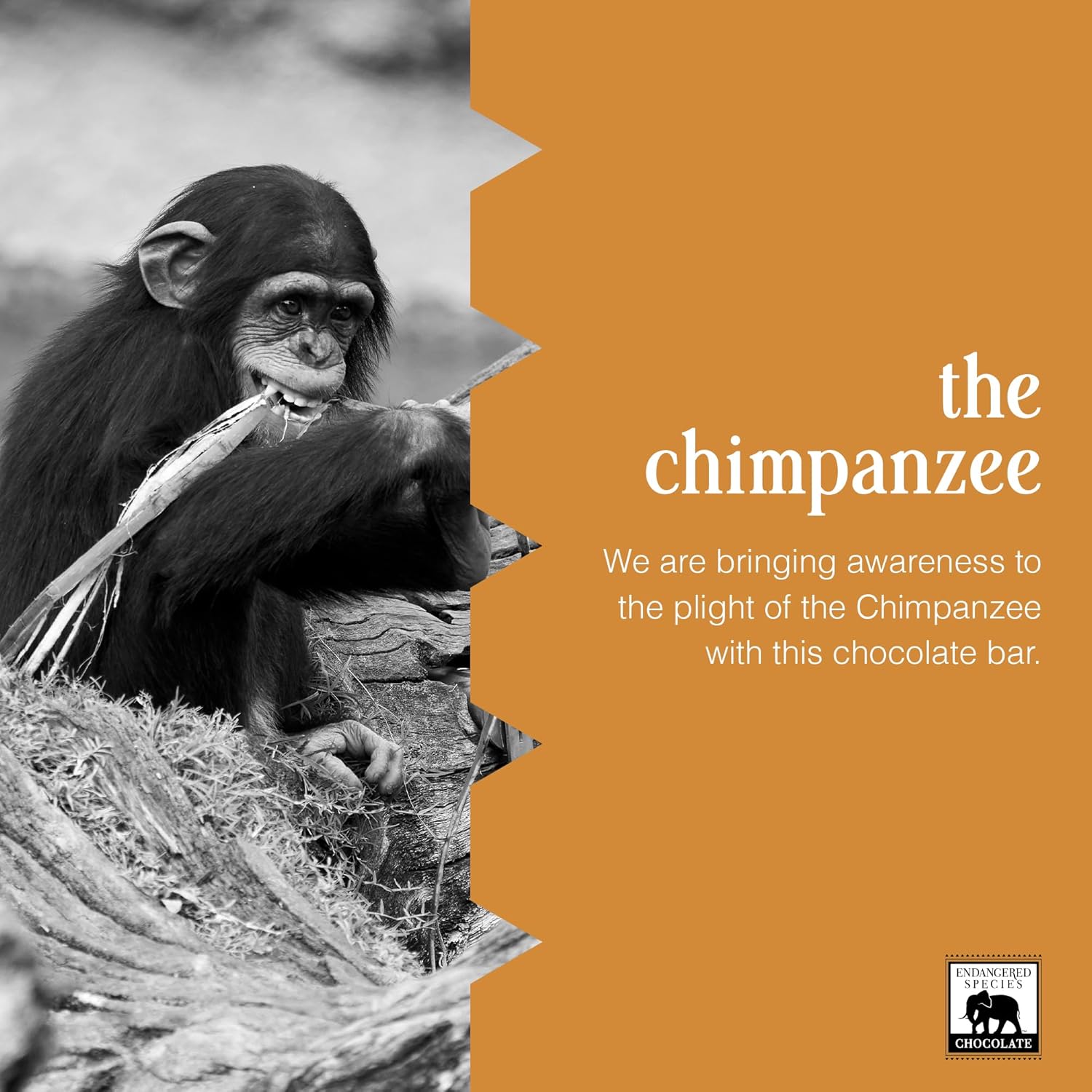 Endangered Species Chocolate Chimpanzee, Natural Dark Chocolate (72%), 3-Ounce Bars (Pack of 12)