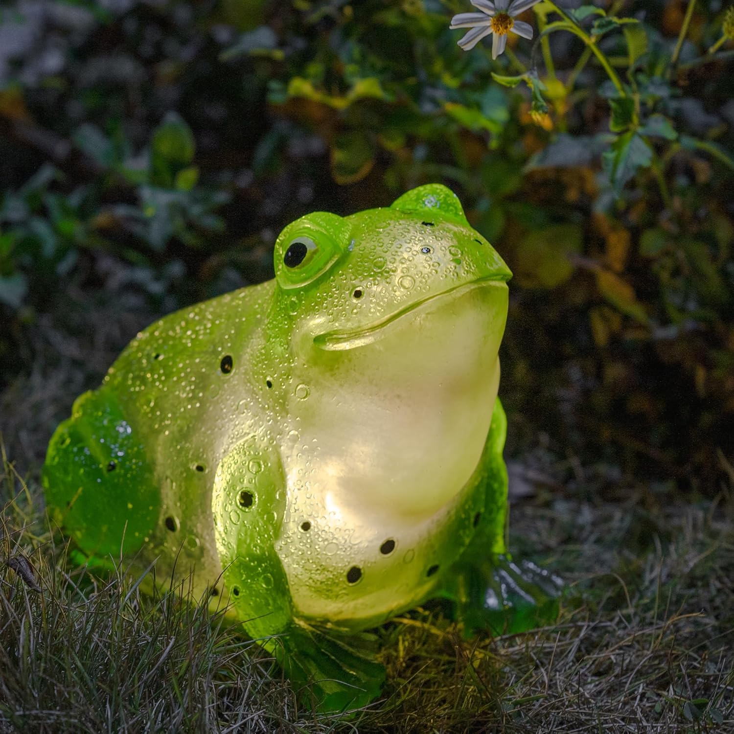 TIJNN Solar Frog Lights Deck Decorative Lighting Statue Lawn Patio Backyard Outdoor Garden Decoration Housewarming Gift