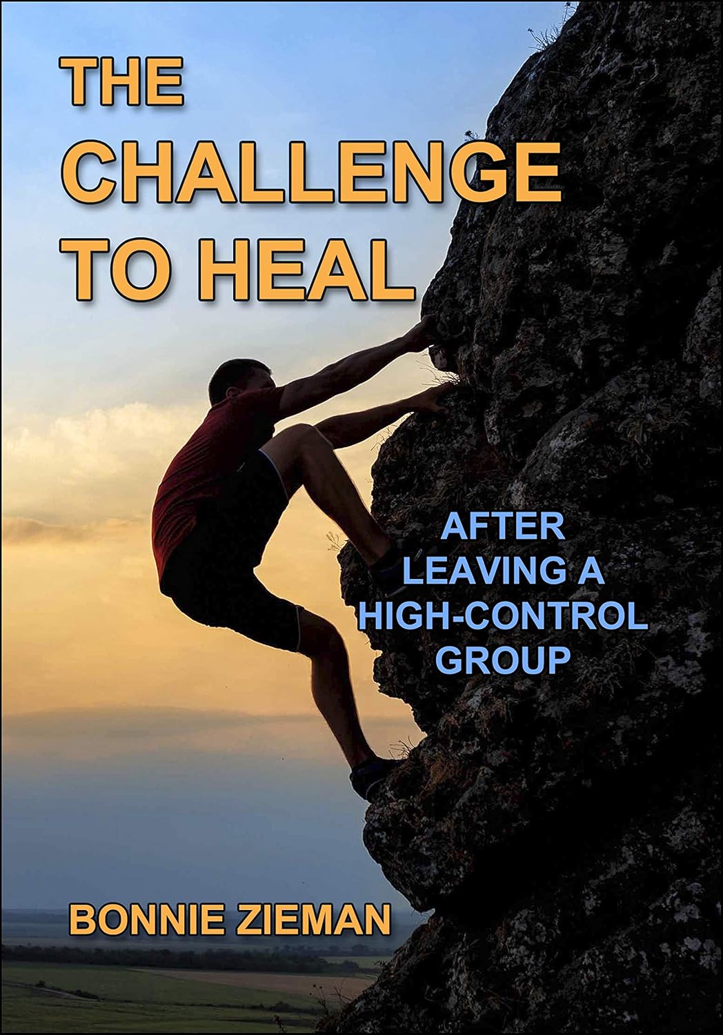 The Challenge to Heal: After Leaving a High-Control Group - Amazon product rated Grade C
