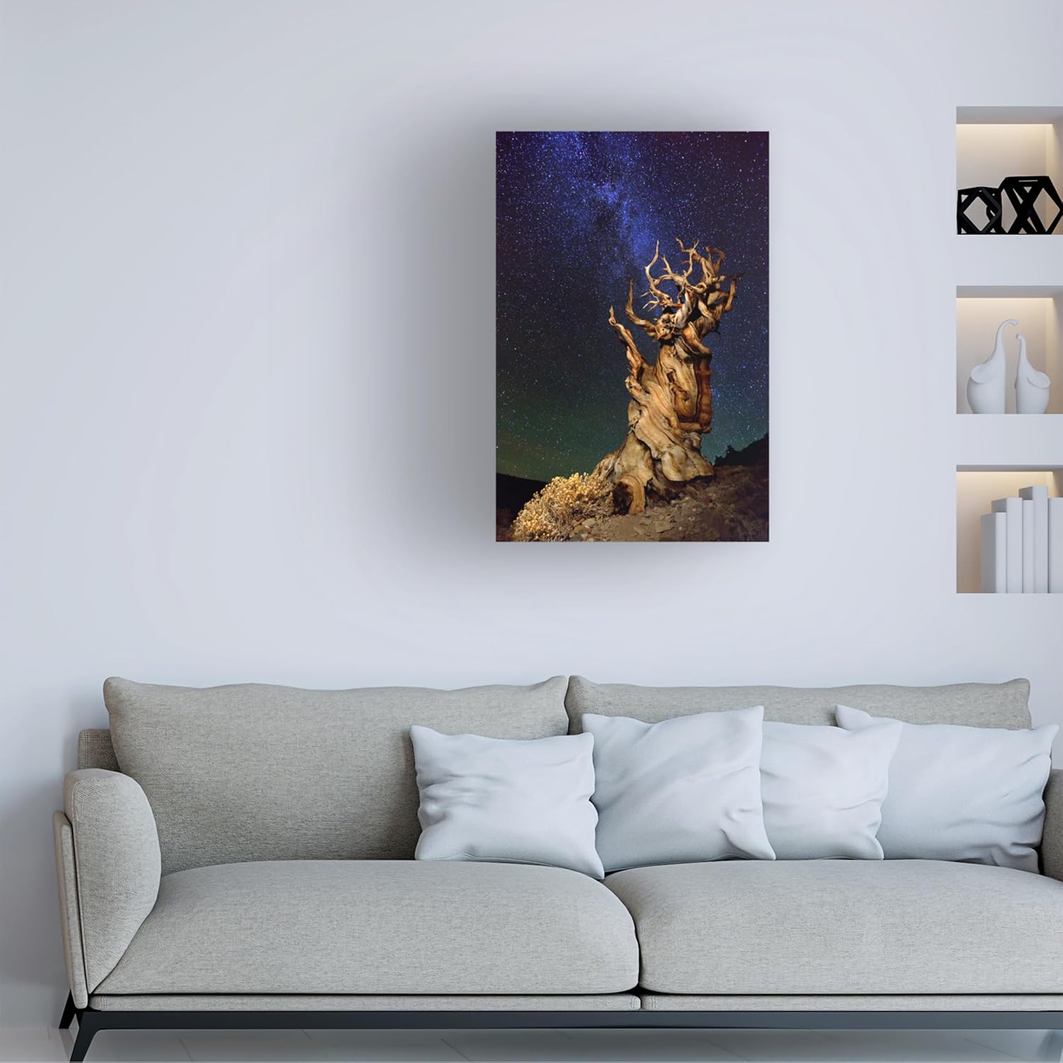 Wrapped Canvas Wall Art - Tanja Ghirardini 'Bristlecone Pine' Wall Art for Living Room, Bedroom, or Office Décor - 12x19
