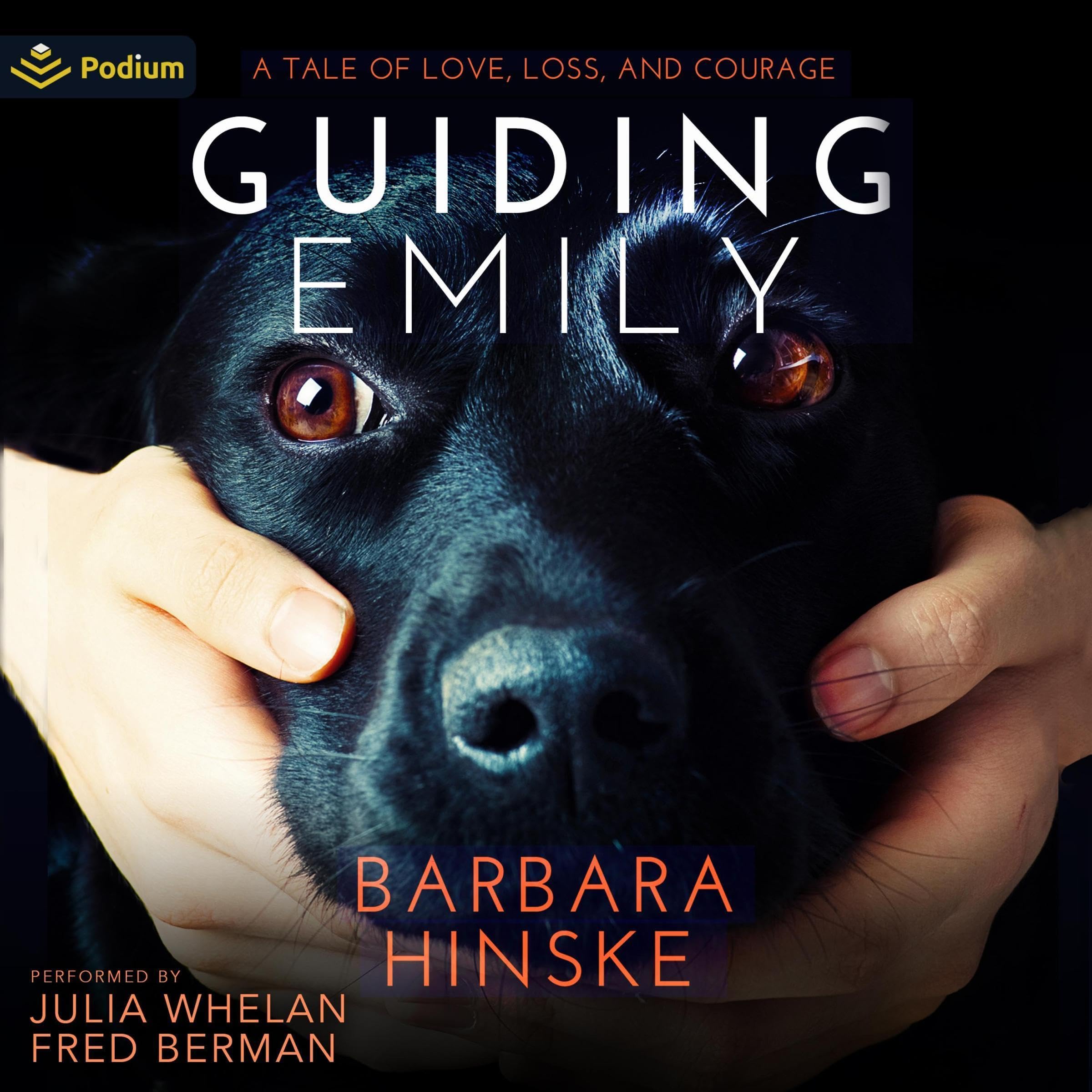 Cover art for Guiding Emily: A Tale of Love, Loss, and Courage