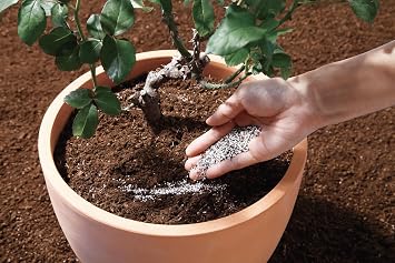 HYPONeX Japan Barif, Sprinkle Fertilizer for Roses