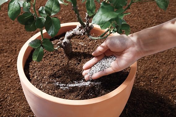 HYPONeX Japan Barif, Sprinkle Fertilizer for Roses