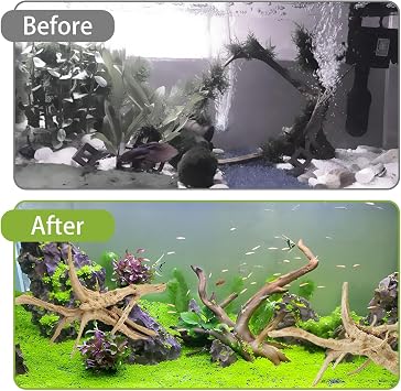 Tfwadmx Natural Driftwood for Aquarium, 6-8 4 Pcs Wood Aquarium Decorations Fish Tank Log Reptile Tree Branches, Assorted Spider Wood Branch