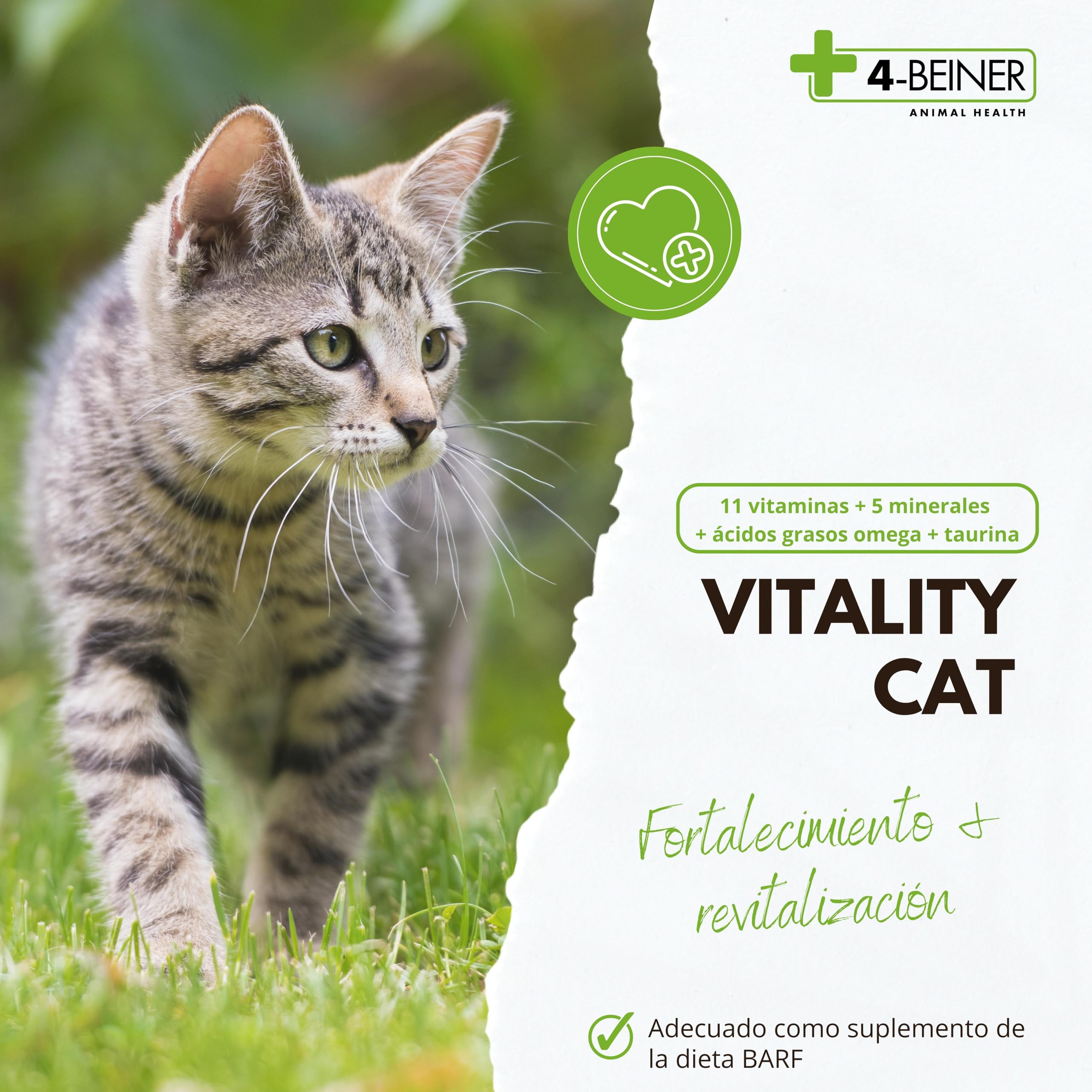 4-BEINER Vitality-Cat -11 vitaminas para Gatos más Omega 3, Omega 6, Zinc, Selenio, manganeso, Cobre, Hierro, taurina, multivitaminas Gato, Polvo