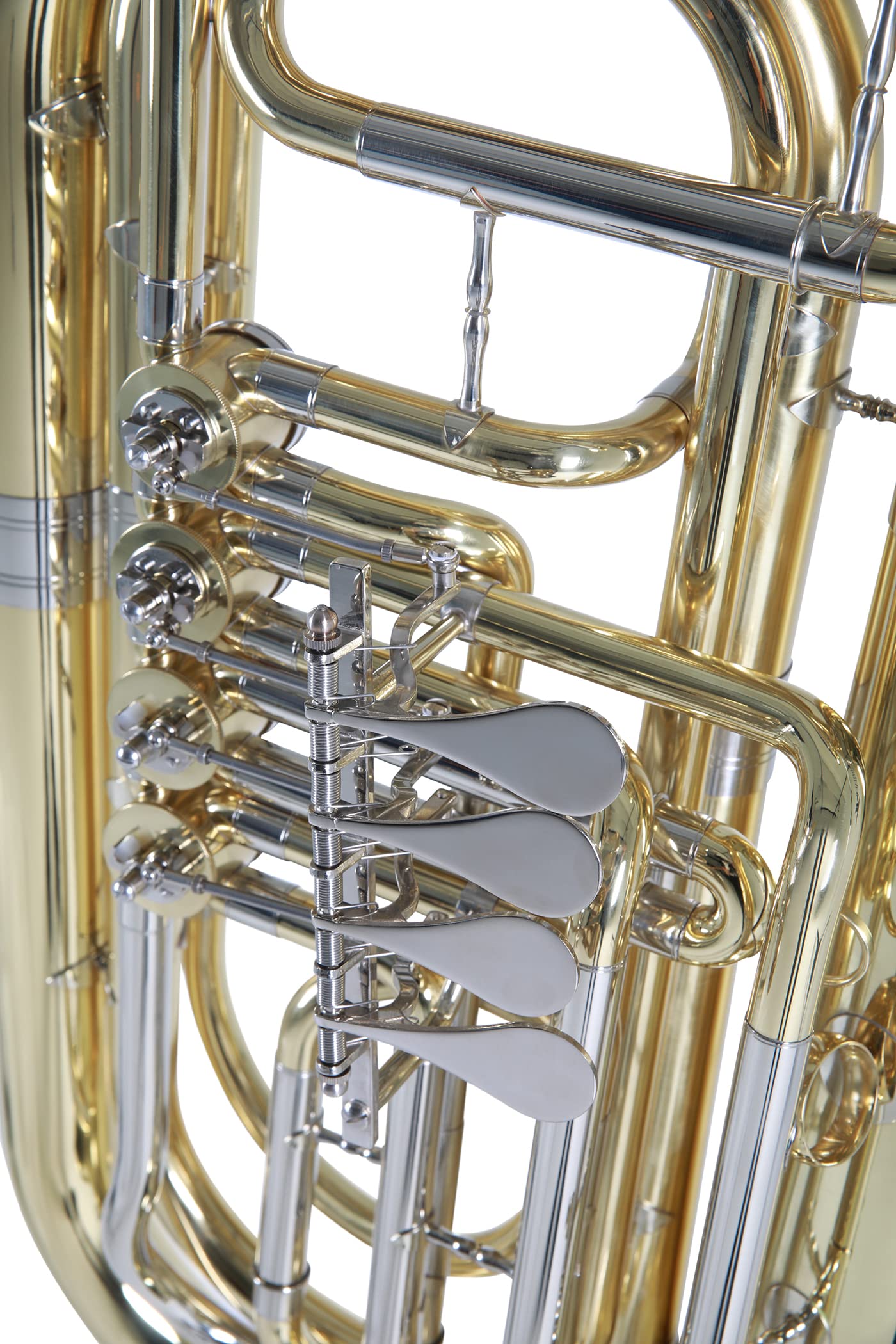 Roy Benson BBb-Tuba TB-202 (strumento professionale in ottone basso, con leadpipe in alpacca, 4 valvole a cilindro, unità di pressione con giunti a sfera, con custodia sagomata multifunzionale)