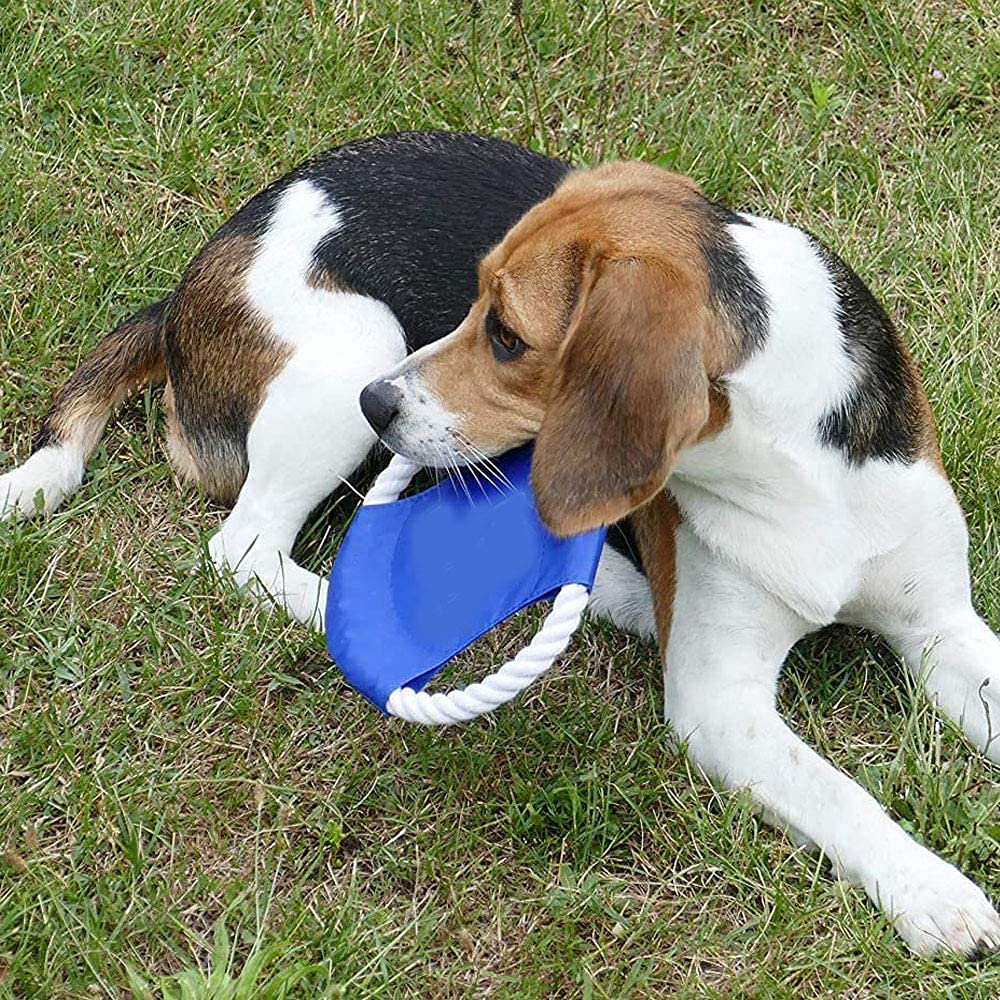 LATRAT Pack of 3 Pet Training Toy Frisbee, Interactive Training Toys Chew Throw Toy for Medium Large Dogs Random Colour - Image 3