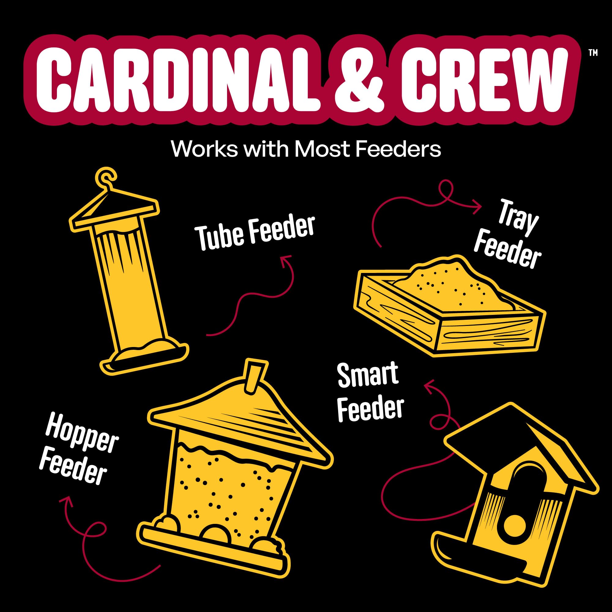 Cool Birds Cardinal & Crew - Semi di uccelli selvatici – 4,5 kg di olio nero di girasole, cuori di girasole e miscela di cartamo per cardinali, grosbeaks e pulcini – Mangime per uccelli da esterno