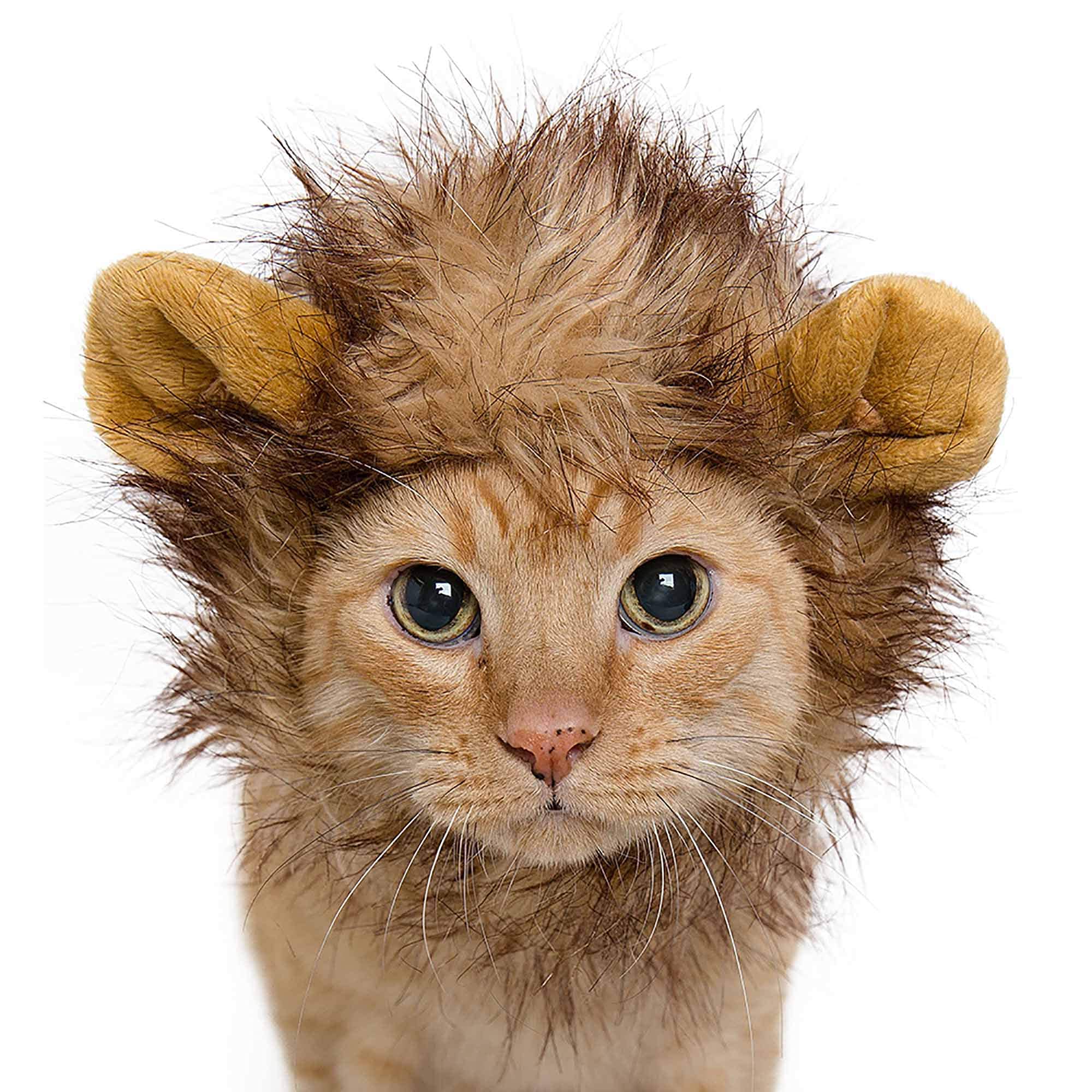 Pet Krewe Lion Mane Costume - Lion Mane for Cats - Fits Neck Size 8”-14” - Perfect for Christmas Holiday, Halloween, Parties, Photo Shoots and Gifts for Cat Lovers