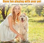 Tie Out Cable for Dogs, 20 FT Heavy Duty Dog Leads Chains for Large Dogs Up to 250 Pound, Dog Leash for Yard or Camping, Silver