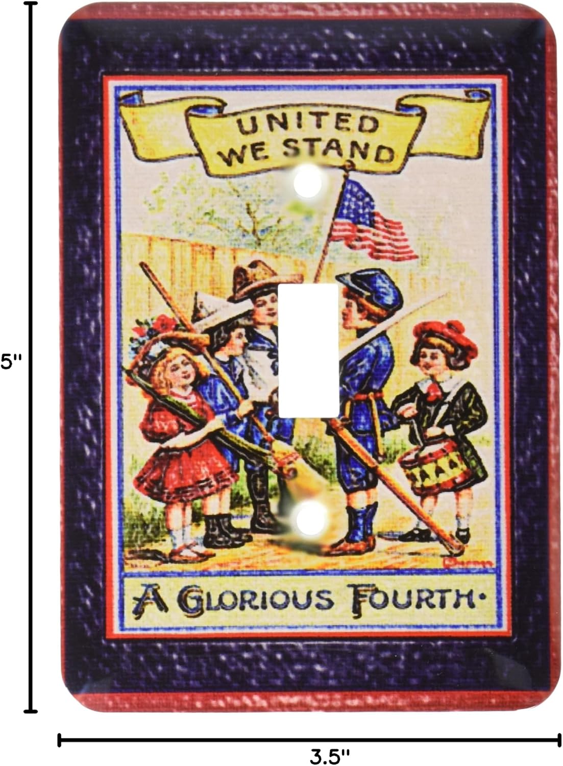 3dRose Lsp_14796_1 Glorious Fourth Of July Plastic Textured Single Toggle Switch