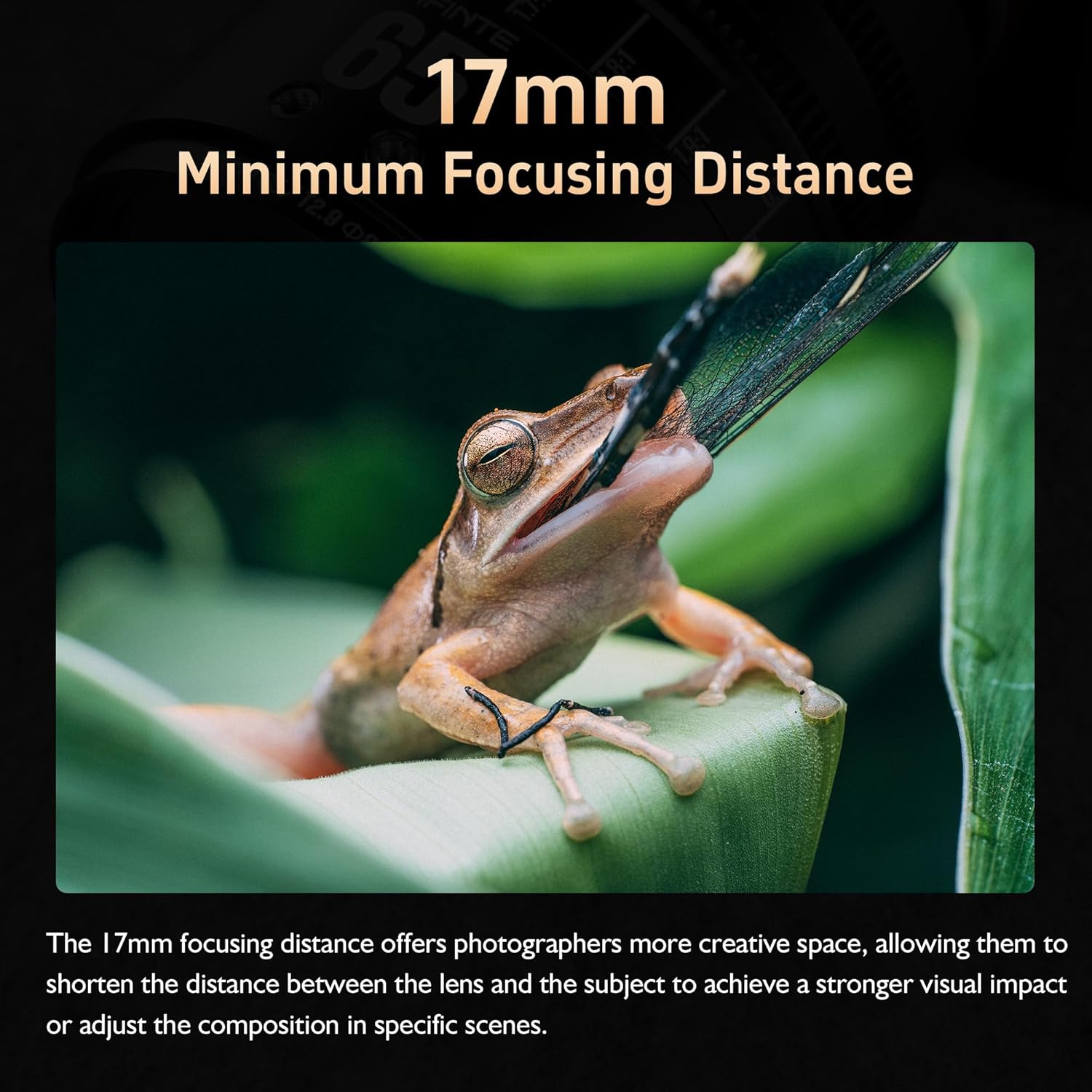 7artisans 65mm T2.9 Cine Camera Lens,Full Frame 2X Macro Prime Manual Focus Large Aperture Cinema Lens (for Sony E Mount)