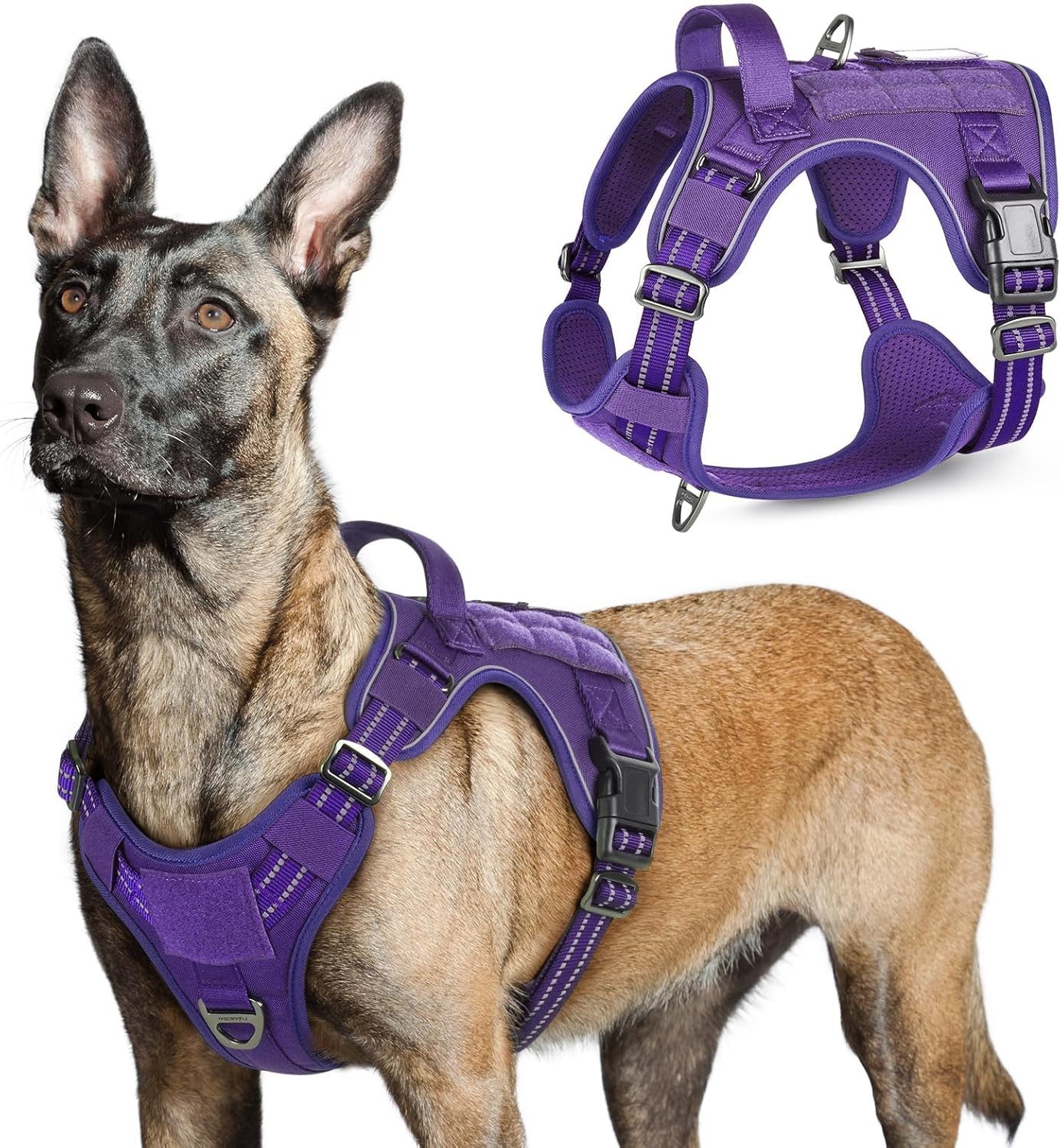 rabbitgoo Tactical Dog Harness for Large Dogs, No Pull Military Service Vest with Handle & Molle, Easy Control for Training Walking, Adjustable Reflective Straps, Purple, L Purple Large