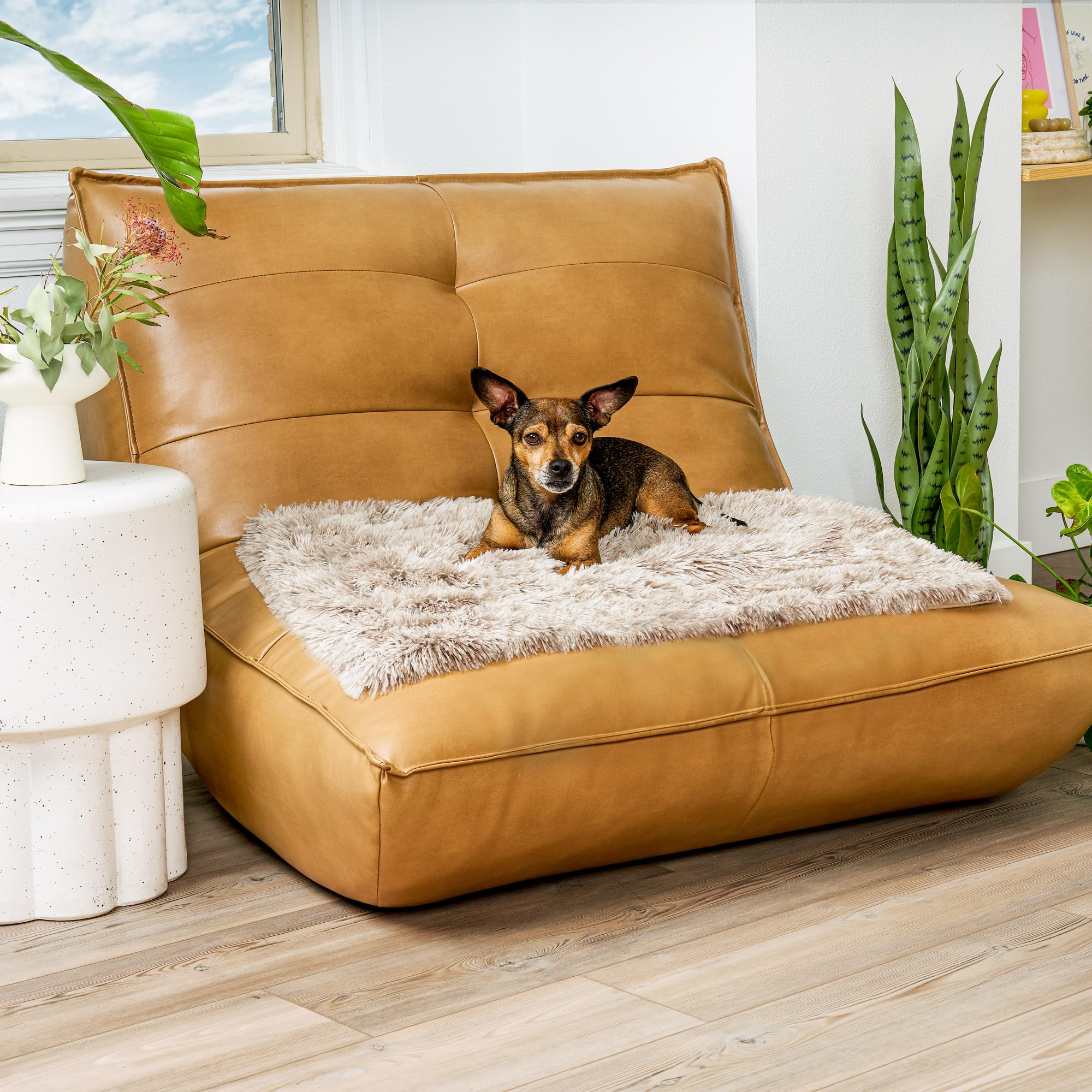 Furhaven Manta impermeable para perros y gatos de interior, lavable, manta larga de pelo sintético y terciopelo para perro, madera flotante, pequeña