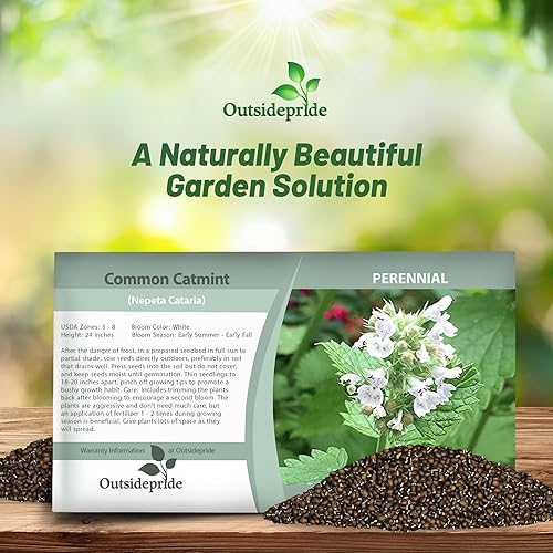 Miniatura 3 de Outsidepride 10000 Semillas Perenne Nepeta Cataria Común Hierba Hierba Jardín Semillas para Plantar