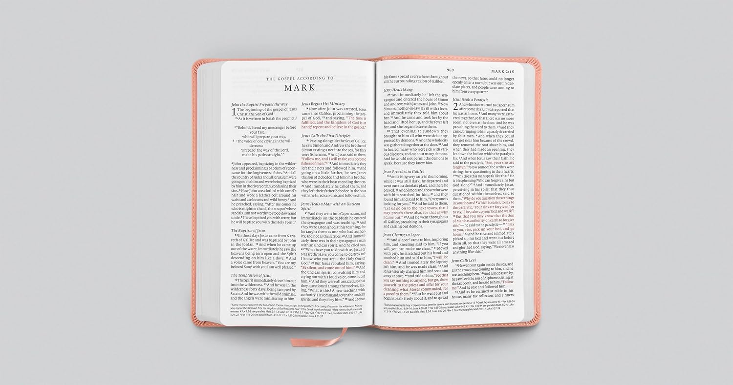 ESV Premium Church Bible, Large Print, Red Letter (TruTone, Pink): Holy Bible, English Standard Version - Image 4