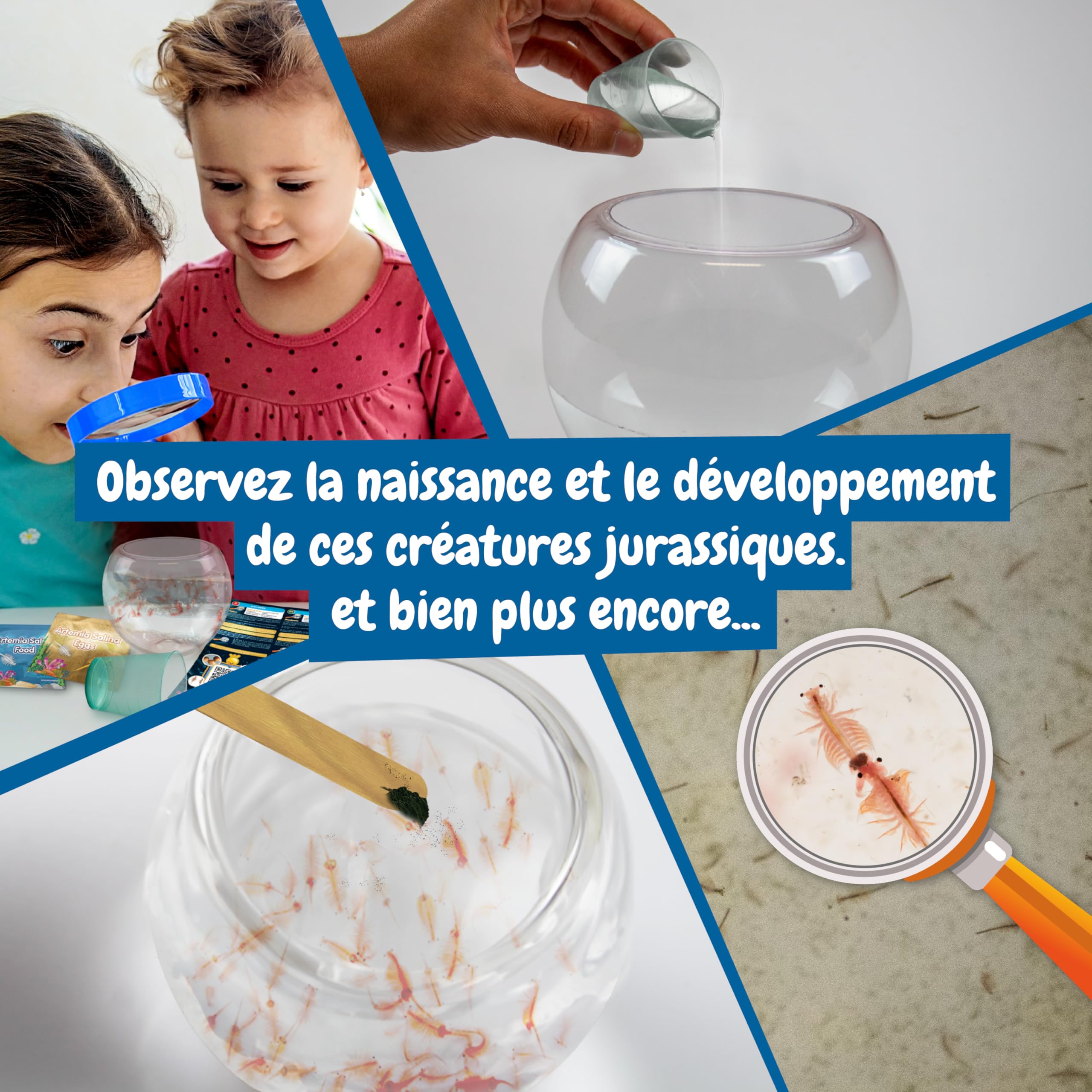 Science4you Créatures Marines Jurassiques pour Enfants - Écosystème Aquarium avec Dragons d'Eau, Jouet 5+ Ans