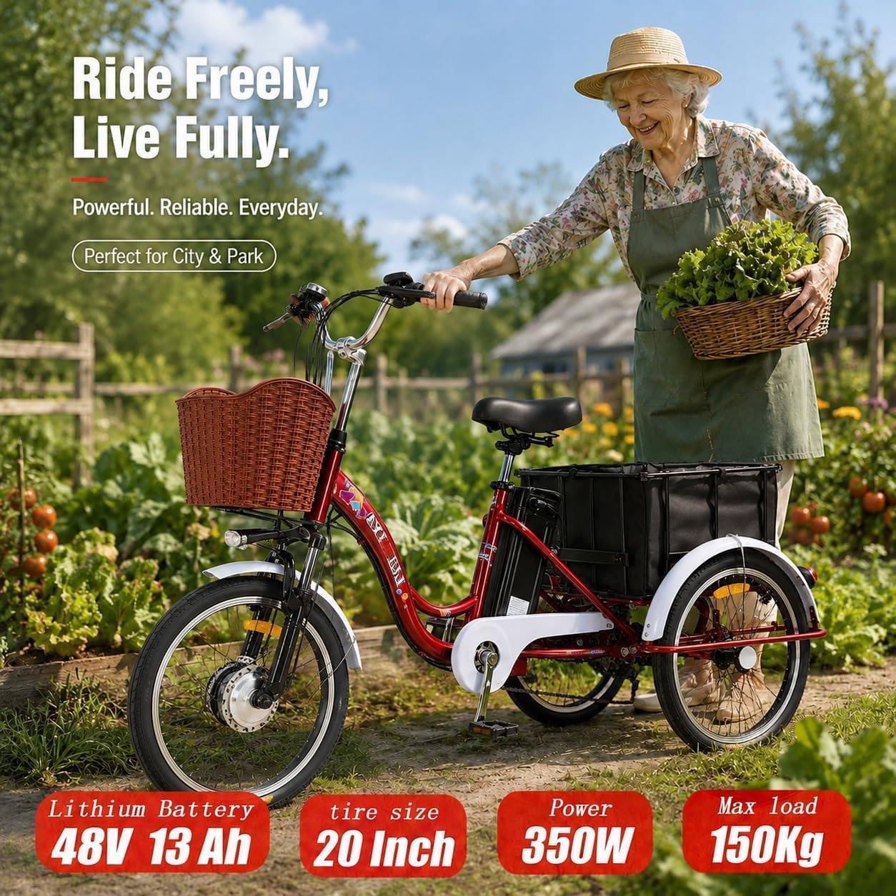 Triciclo elettrico for adulti in lega di alluminio
