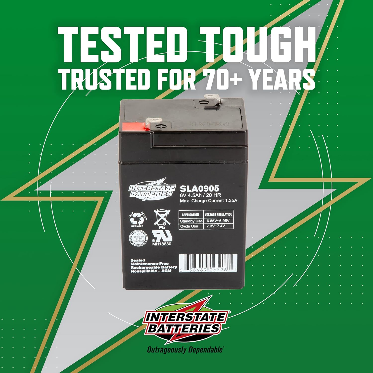Interstate Batteries 6V 4.5Ah Battery (F1 Terminal) SLA AGM VRLA Rechargeable Replacement for Blood Pressure Monitors, Oxygen & Pulse Meters, Deer Feeders, Medical Devices (SLA0905)