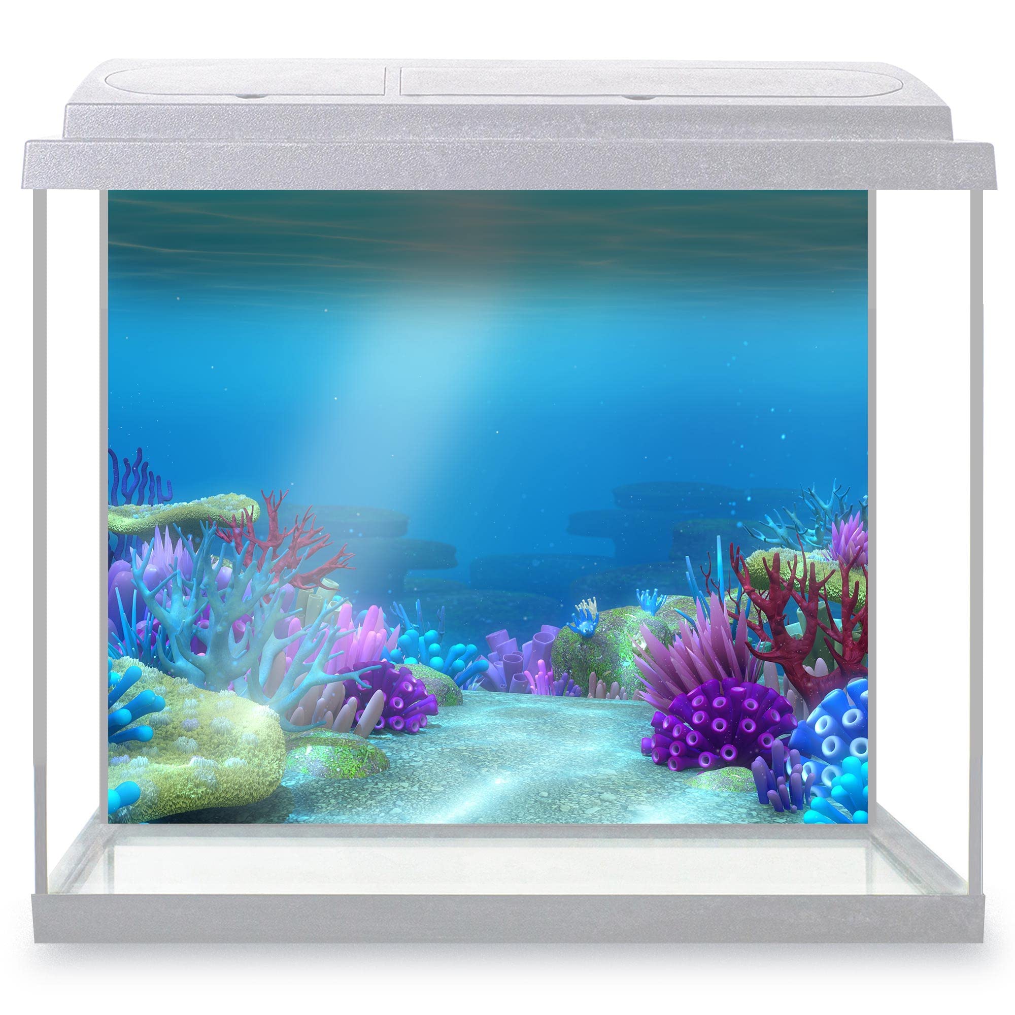 DV DESIGN Aquarium Fish Tank Background 62x52 cm - Colorful Coral Reef Ocean Underwater World Sea Marine Aquatic Static Cling Vinyl Vivarium Terrarium External Application #500023