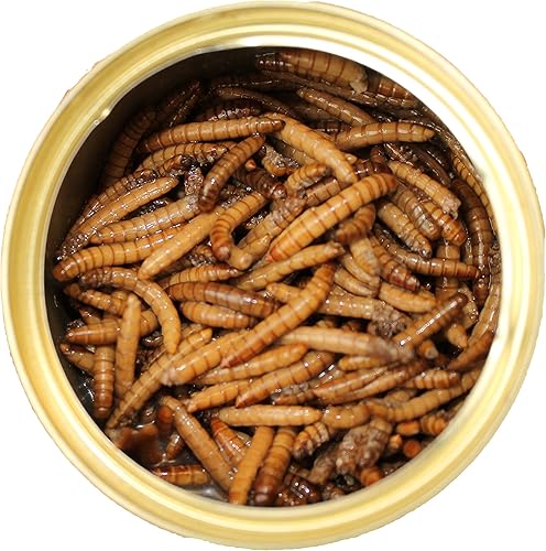 Miniatura 2 de Gusanos de harina enlatados (1.2 oz. 6 unidades)  Golosinas saludables para insectos con alto contenido de proteínas, erizos, planeadores de azúcar,