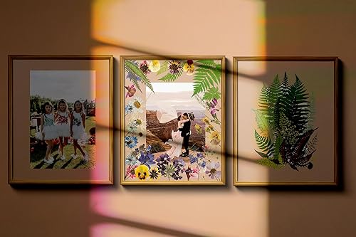Miniatura 9 de Passat Paquete de 3 marcos flotantes de flores prensadas de 5 x 7 pulgadas, marcos modernos de roble para fotos, marcos de fotos flotantes gruesos