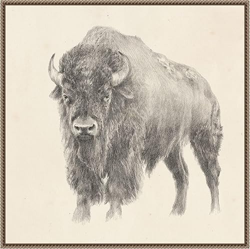 Miniatura 18 de Amanti Art Lienzo enmarcado para pared, 22 x 22 pulgadas, estudio de bisonte occidental por Ethan Harper, lienzo enmarcado para pared, obras de arte
