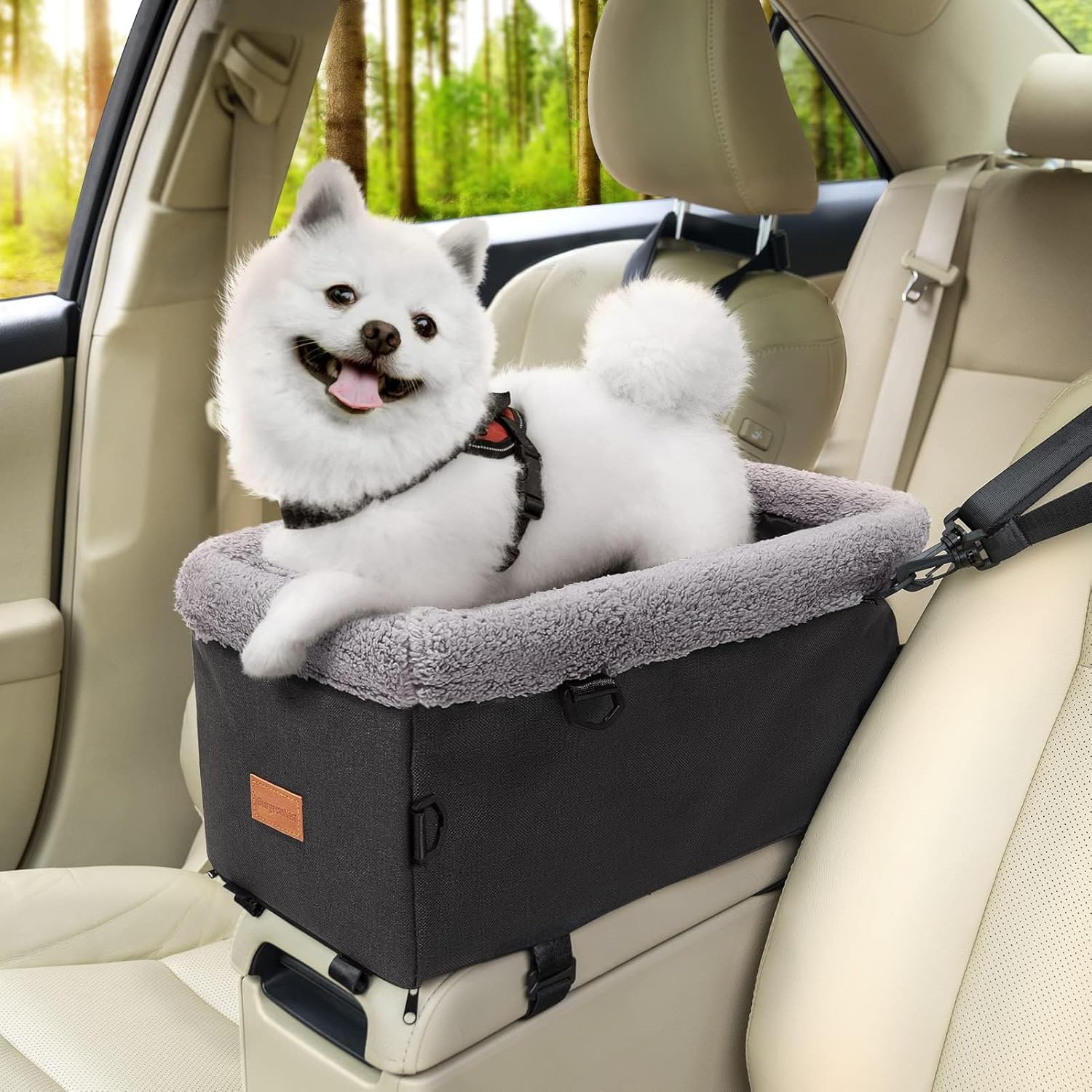 BurgeonNest Center Console Dog Car Seat for Small Dogs up to 9lbs - Sturdy Metal Frame Anti-Collapse Pet Booster Seat for Car Armrest, Dual Safety Belts & Washable Cushion, Grey