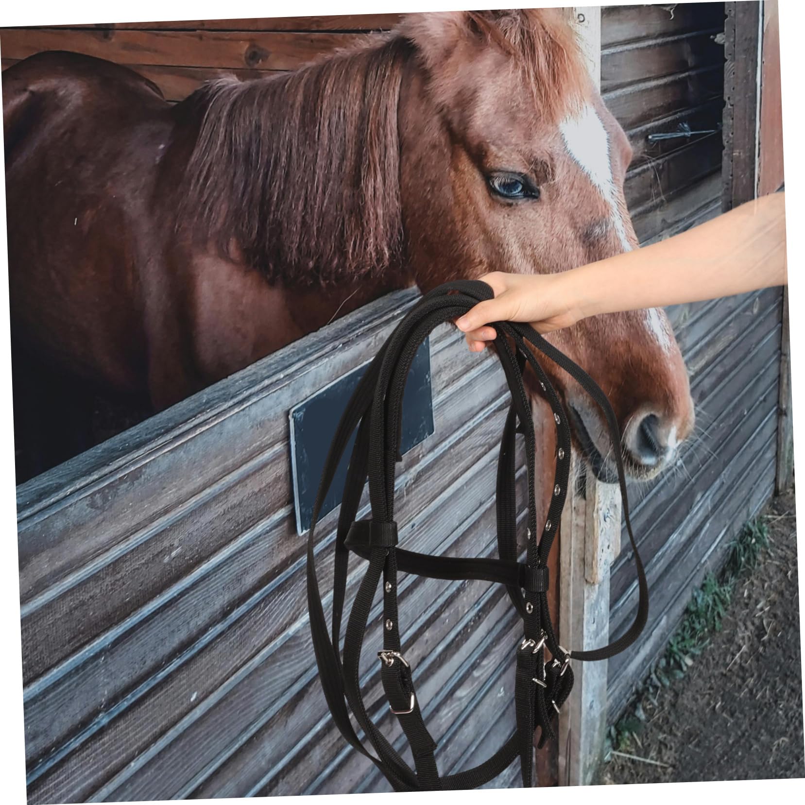 Cabezada De Nylon para Caballos y Resistente para Entrenamiento y Monta De Diversas Razas