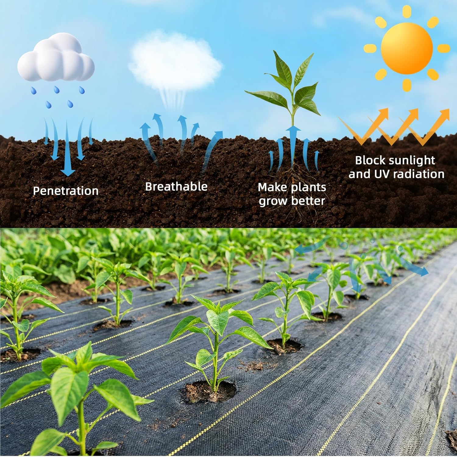 Shade&Beyond 3ftx50ft Weed Barrier Fabric, 3.5oz Heavy Duty Permeable Landscape Fabric, Woven UV Resistant Ground Cover with Staples for Gardens/Yards/Landscaping