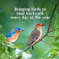 Vista 9 de C&S Pepitas de Sebo Azul para Aves Silvestres Mega Caja, 8 Libras