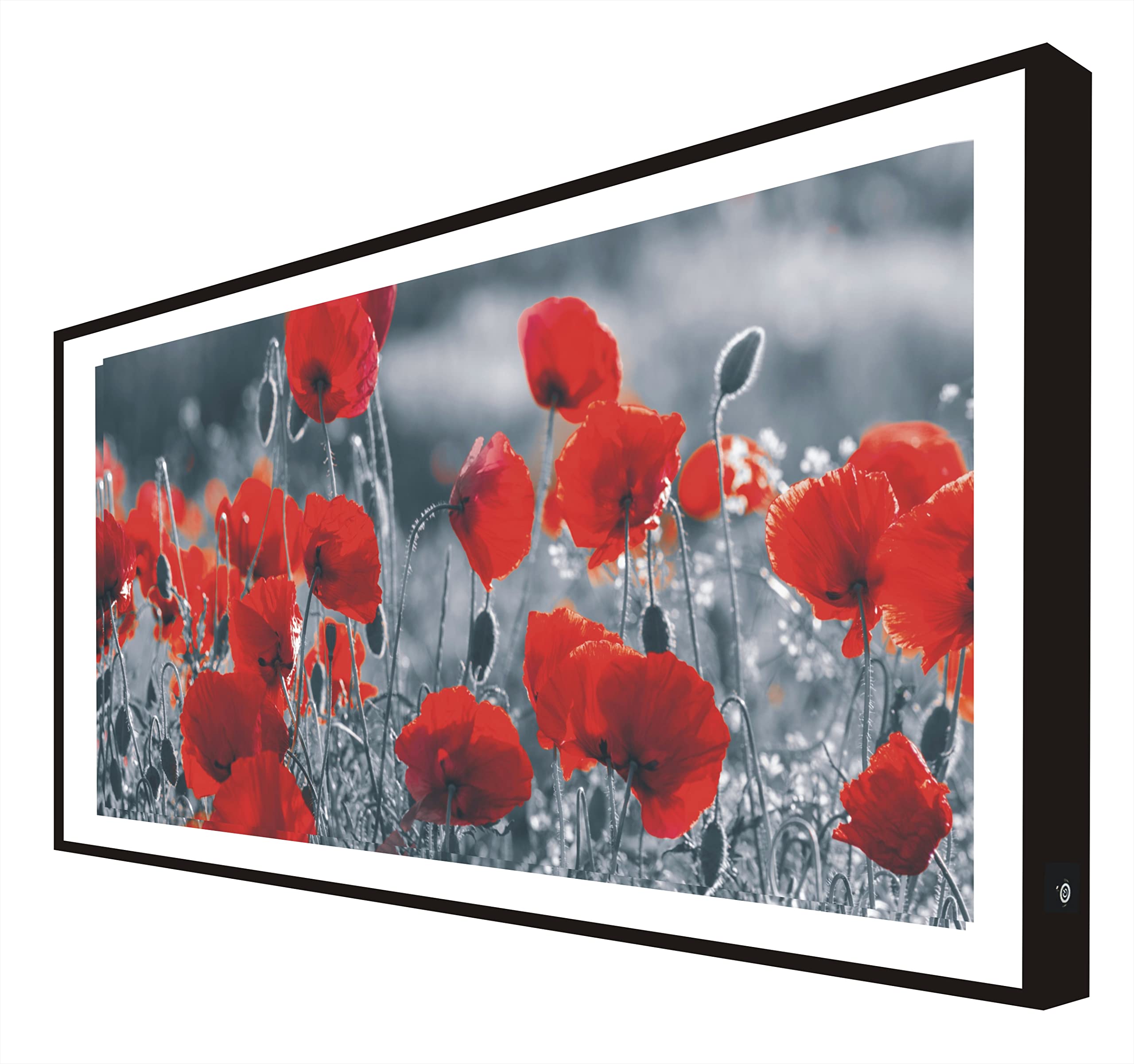 Cadre bois laqué noir LED coquelicots pour éclairer un couloir sombre