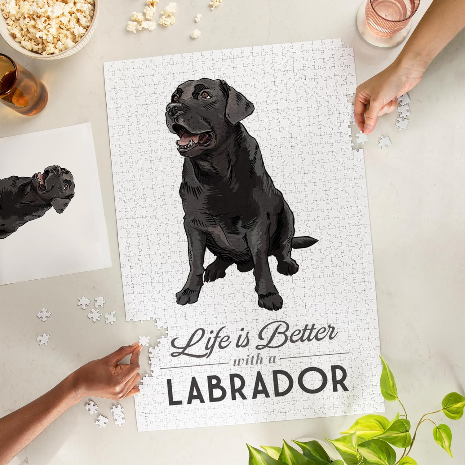 Lantern Press Black Labrador Retriever, Life is Better 1000 Piece Jigsaw Puzzle for Adults, Made in USA with Reference Poster
