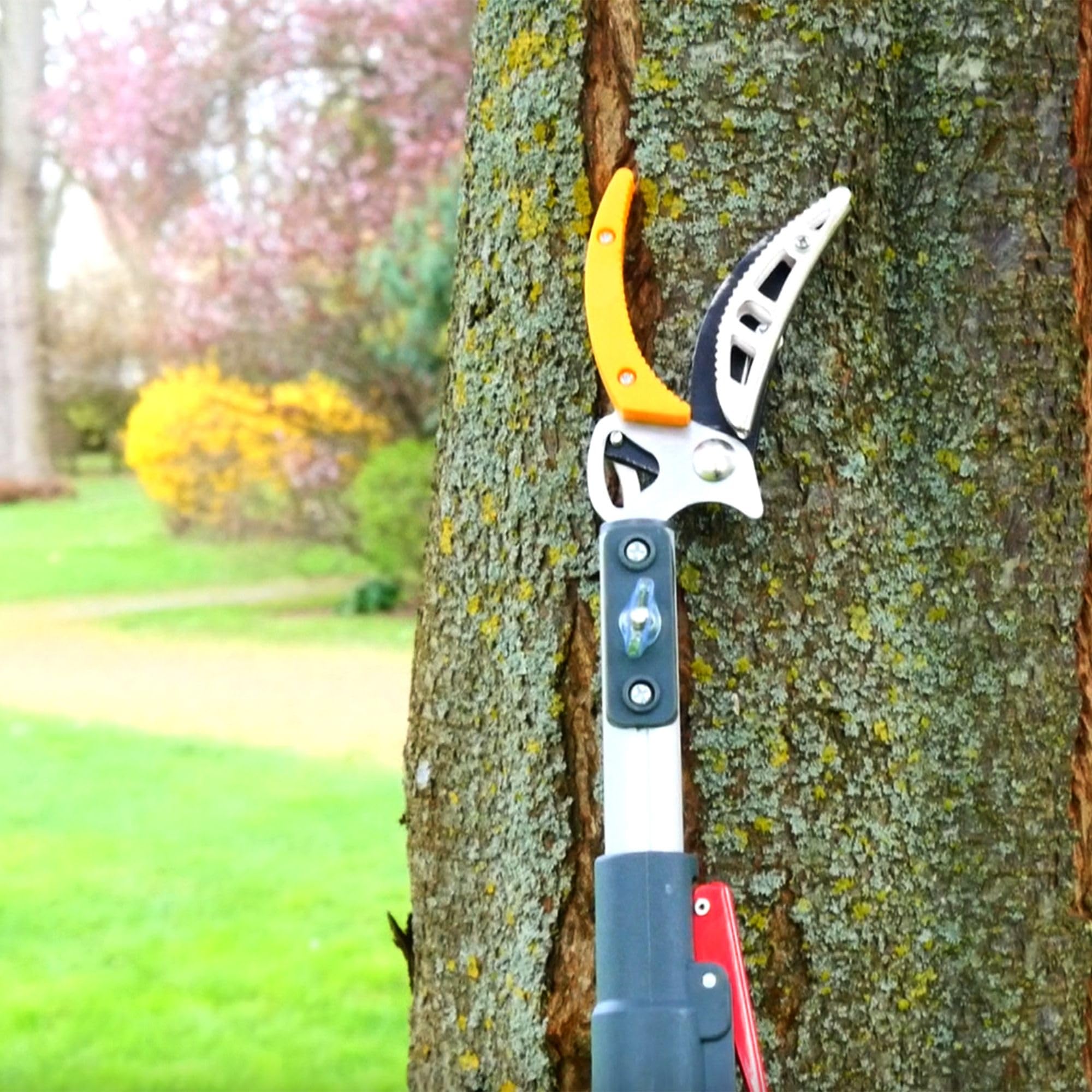 FISHTEC - Tijeras de jardín telescópicas extensibles de FISHTEC: de 1,37 a 2,2 m + sierra para el cuidado de árboles – tijeras para árboles – poda y corte de ramas – hoja de acero + yunque de agarre