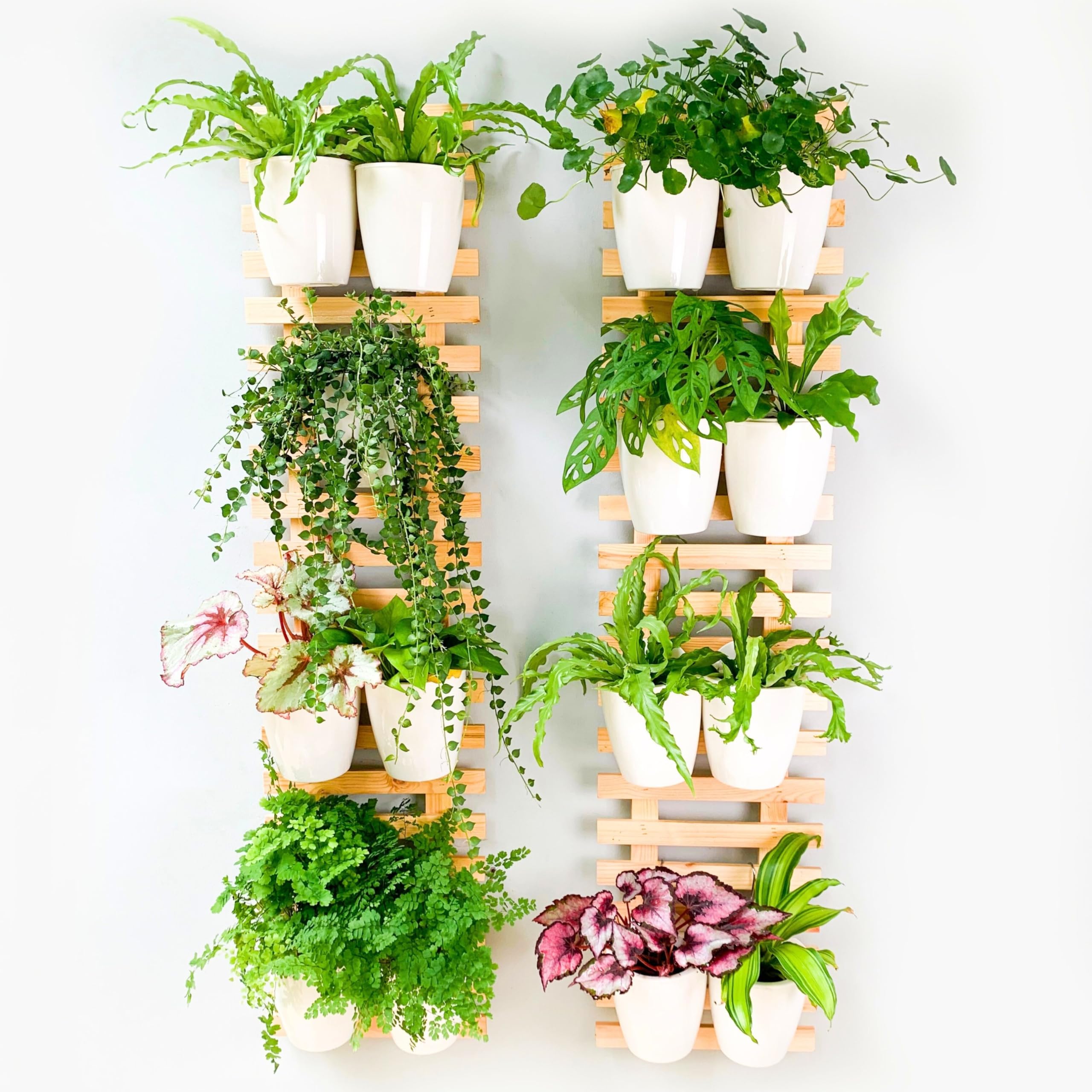 Photo 1 of ShopLaLa Wall Planter, 120cm, 2 Pack
