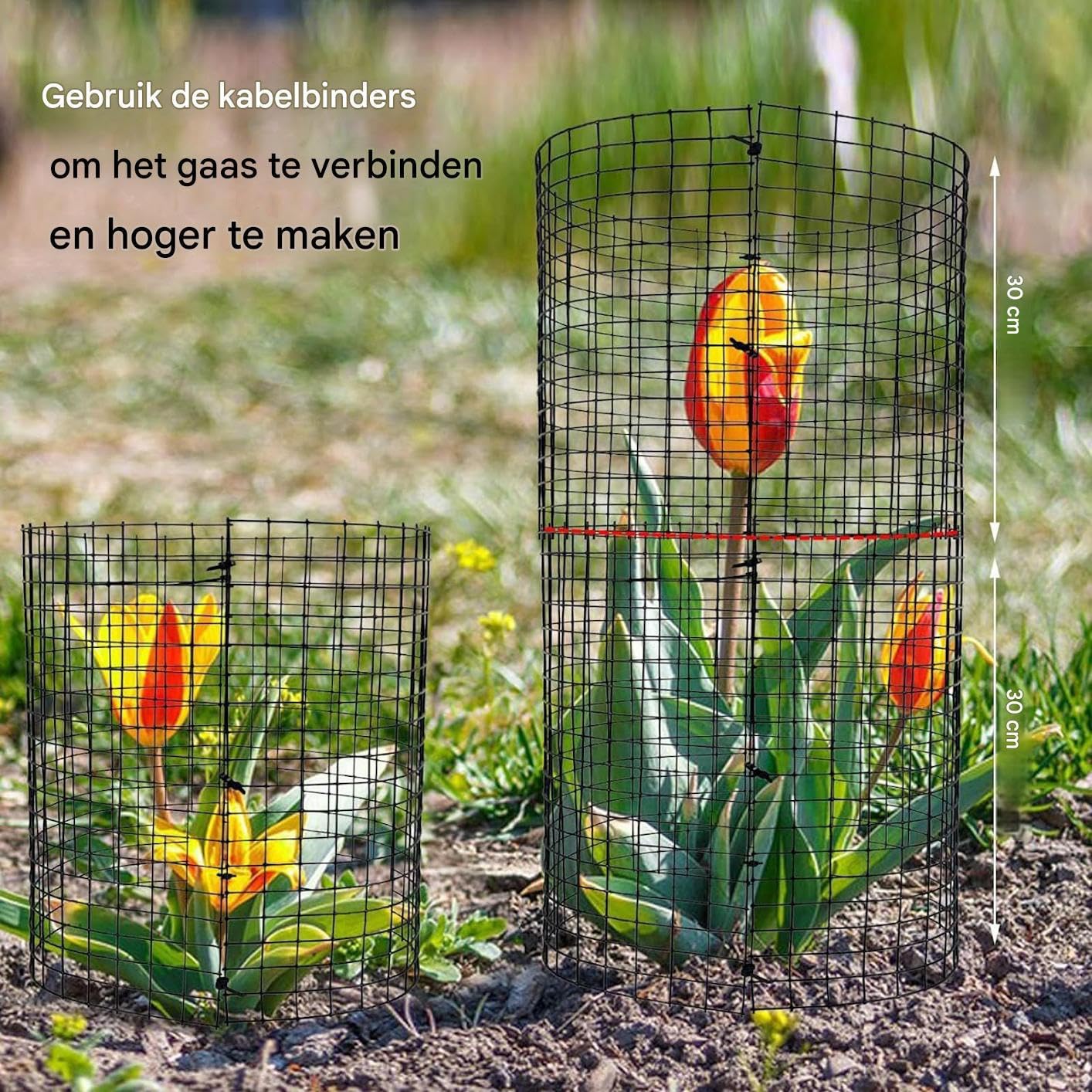Malla de pollo Cloche Metal Protector