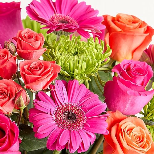 Miniatura 3 de 1800 flores  Ramo de flores vibrantes doble (florero transparente incluido)  Flores frescas para entrega  Regalo para aniversario, cumpleaños,