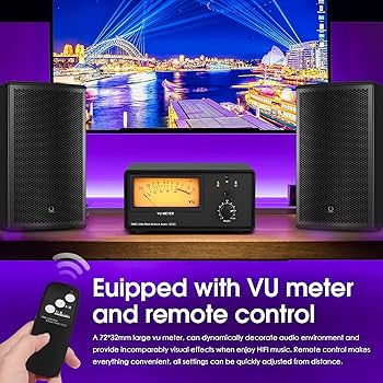 Amazon.com: Douk Audio VU102 2 Zone Speaker Selector Box