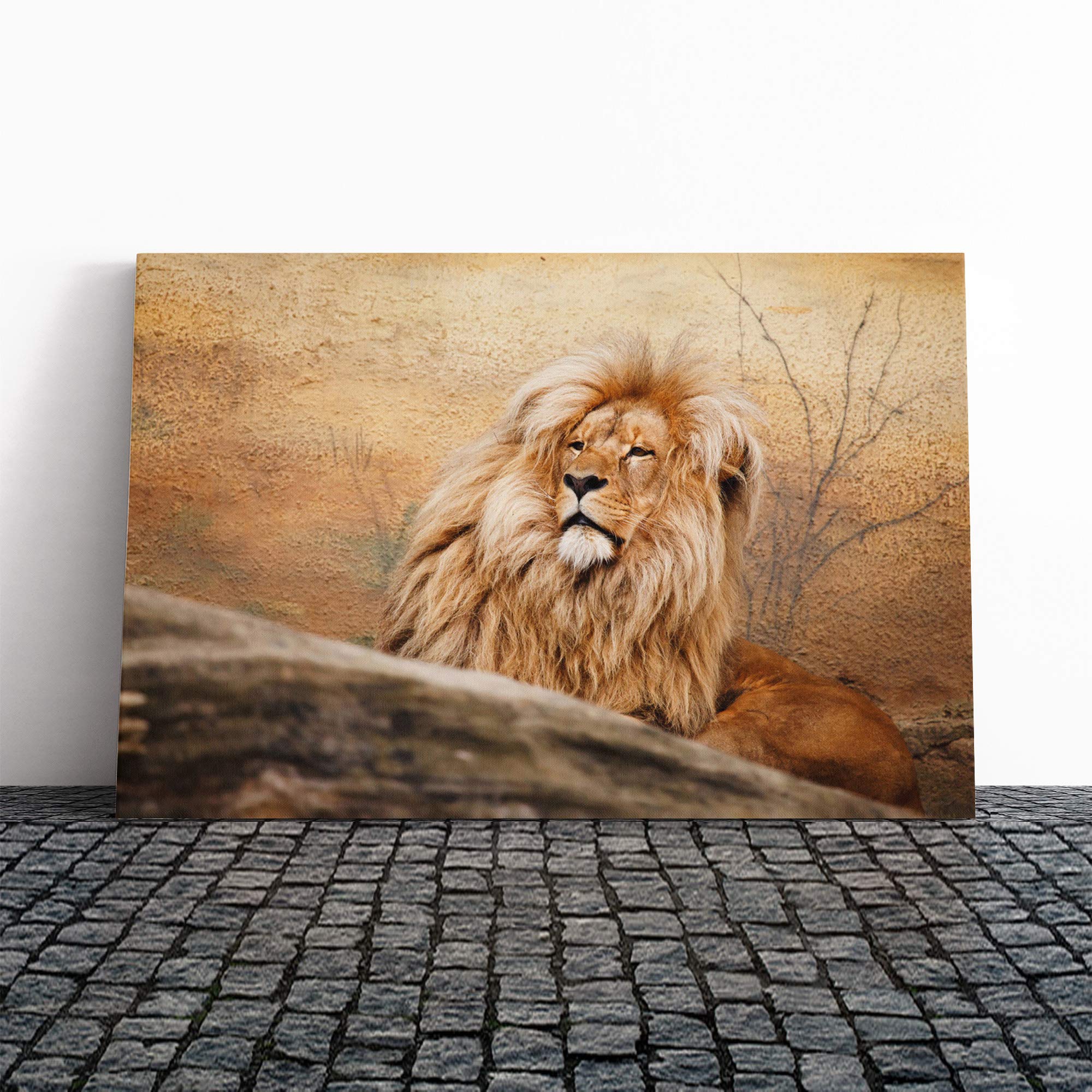 Lion (3) Canvas Print | Gallery Wrapped 30mm Frame Wall Art | 30x20 inches | Ready to Hang | Modern Animals Picture | Living Room Bedroom Lounge Office