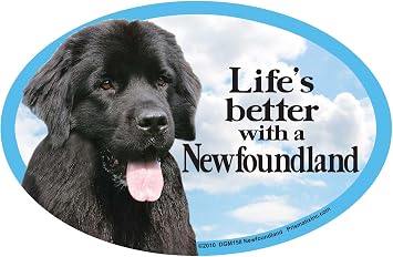 Prismatix Newfoundland Oval Dog Magnet for Cars